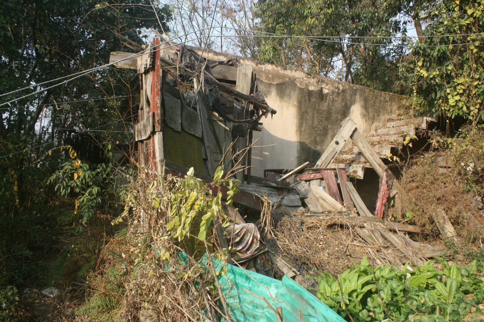 农村夫妻离婚后老房子10多年没人住杂草丛生破烂不堪可惜了