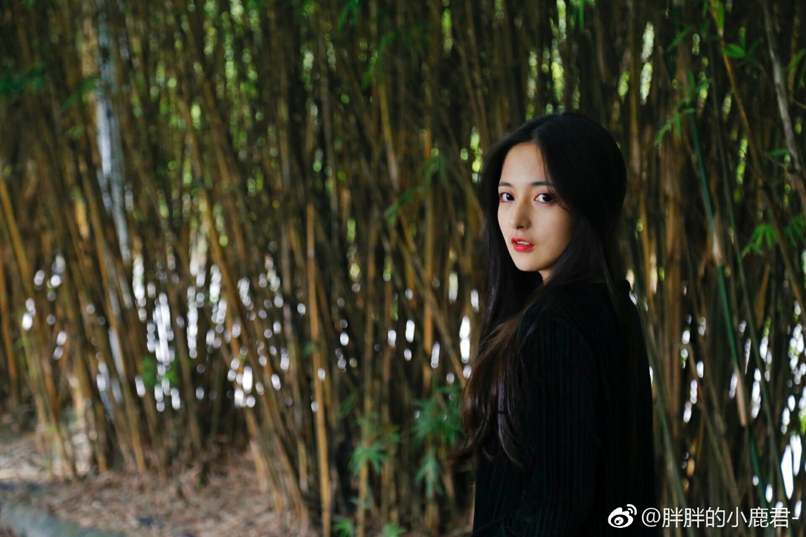 校花日记李露18岁来自四川电影电视学院爱好电竞特长舞蹈