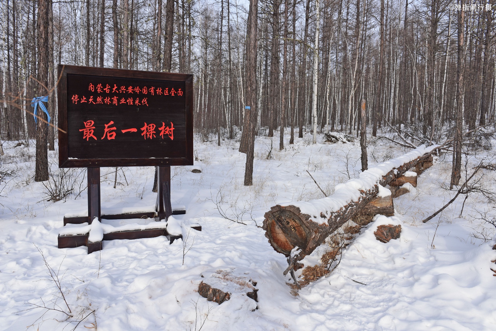 Lesy SR predstavili novú aplikáciu Otvorené drevo, ktorá uľahčí kontrolu hospodárenia v lesoch ...