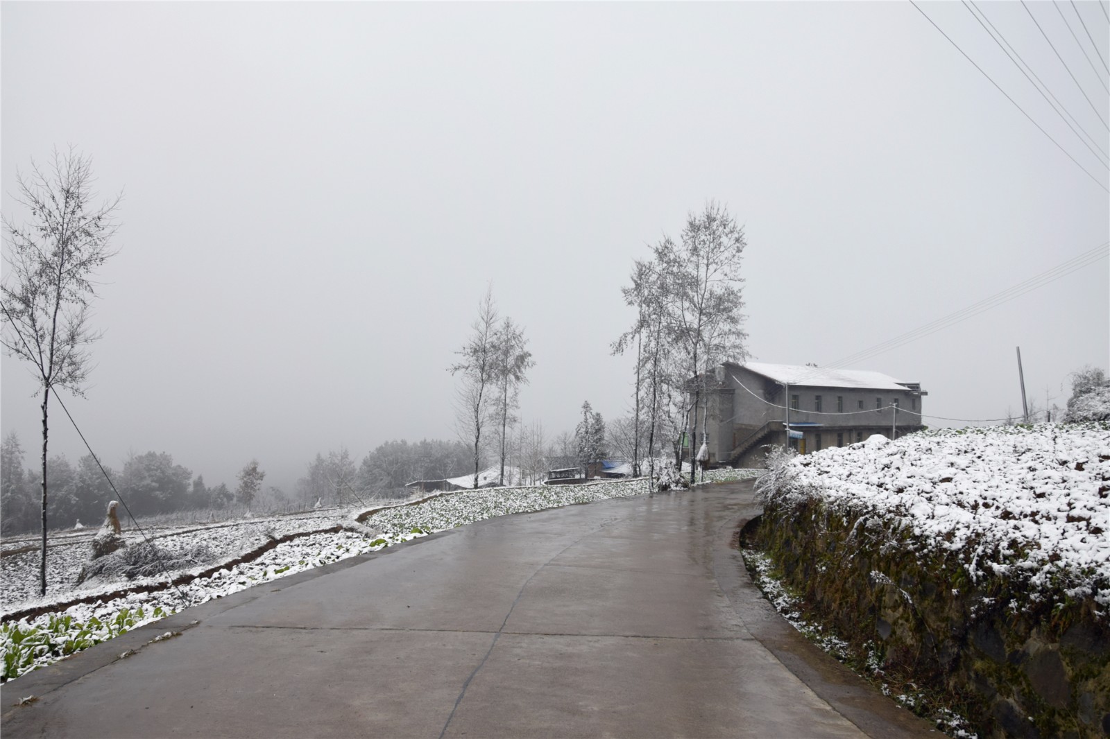 苍溪县最美的雪景