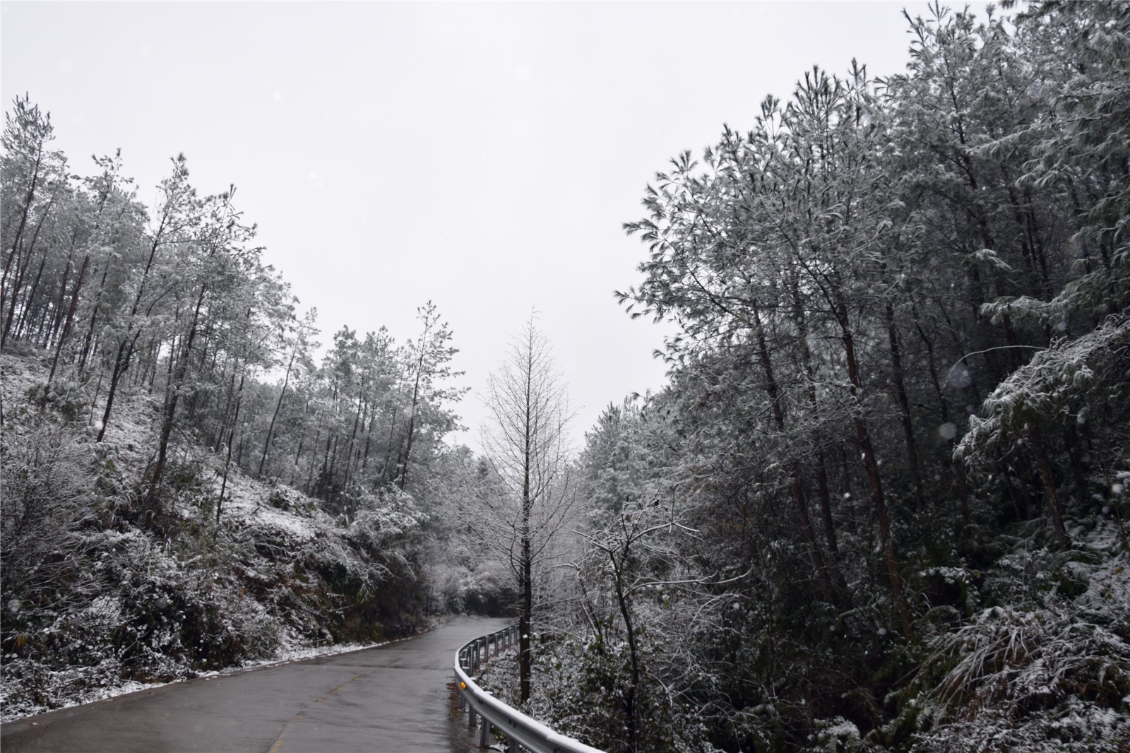 苍溪县最美的雪景三溪口国家森林公园没有之一