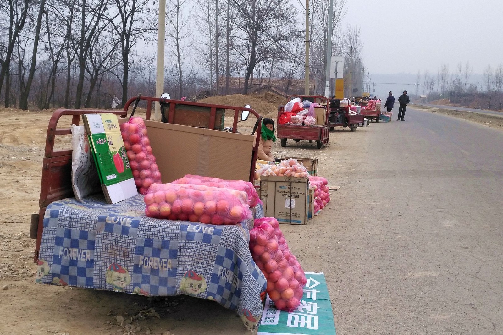 河南省豫西农村公路上卖苹果的老人,寒风中一周卖了20元