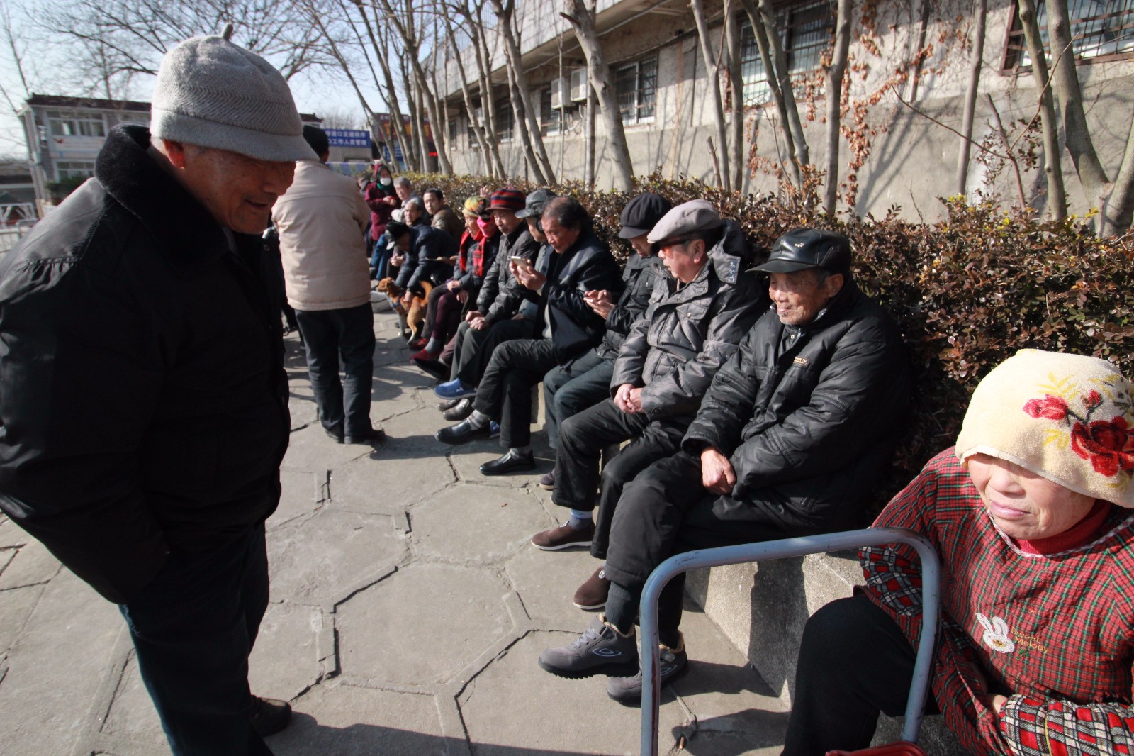 老人江堤边晒太阳排排坐如人墙