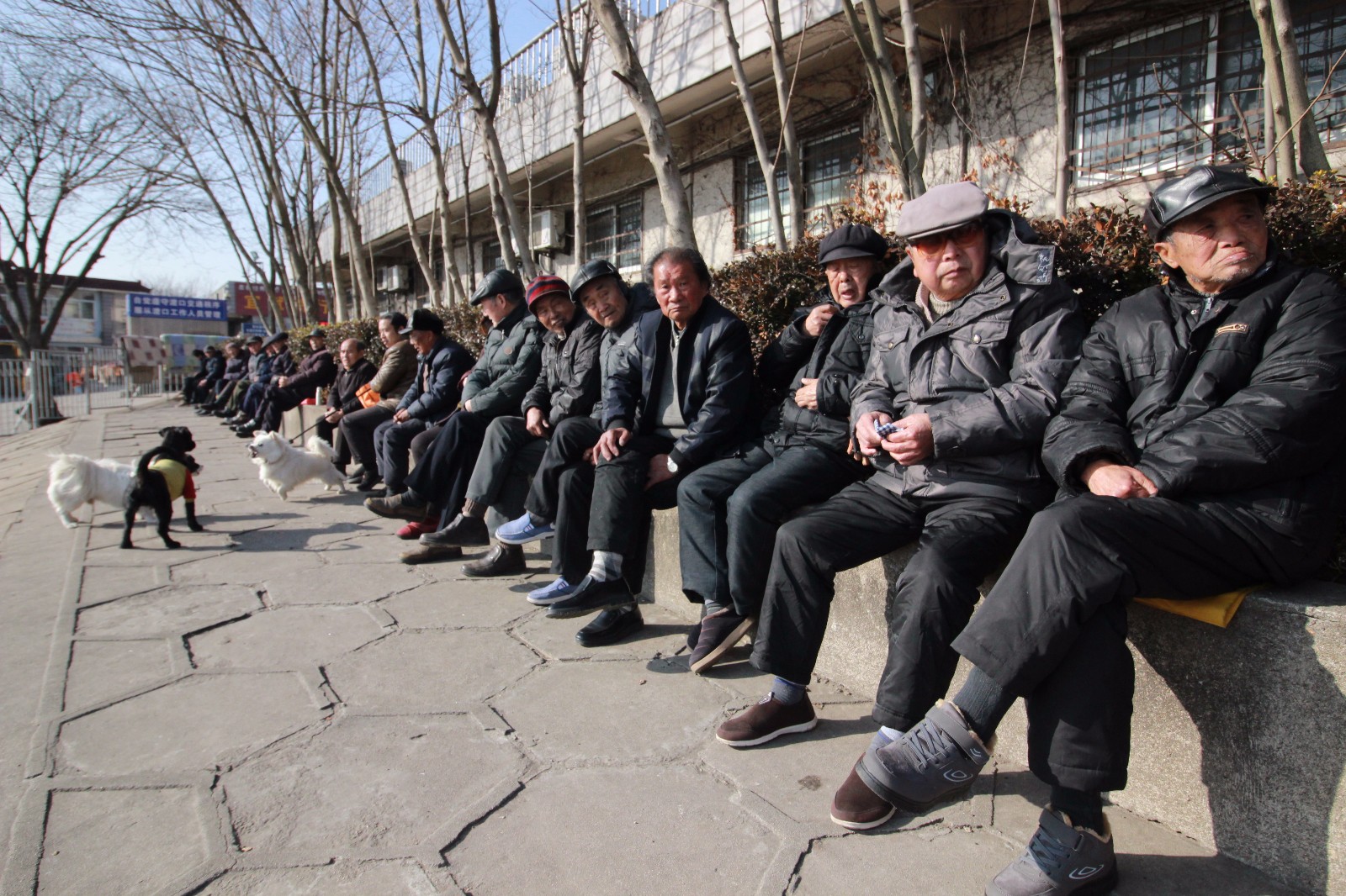 老人江堤边晒太阳 排排坐如人墙|人墙|江堤|老人_新浪新闻