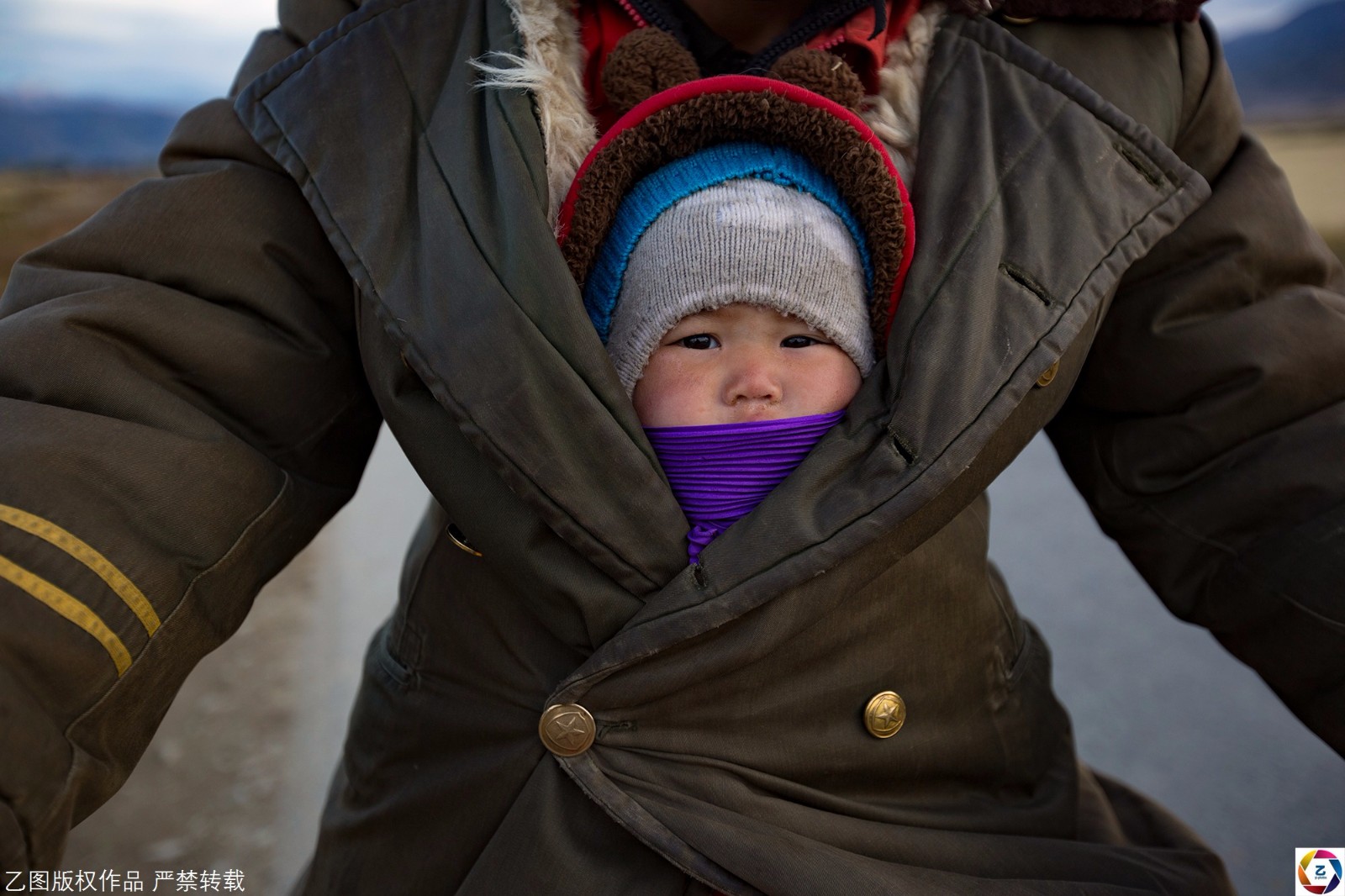 混动卡罗拉4L油跑千公里 丰田三车齐发 谁是性价比之王