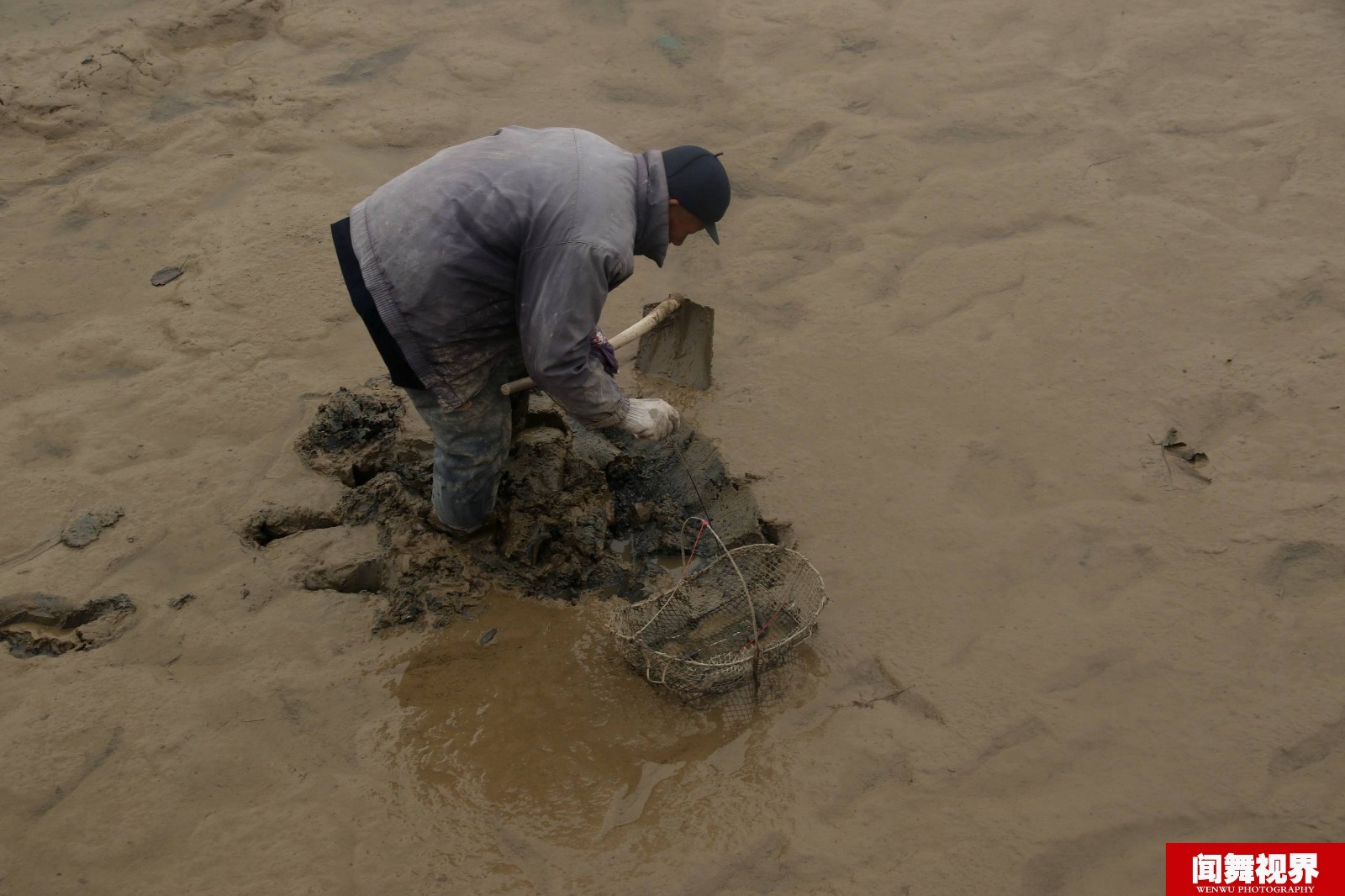 每天午饭过后潮水退去,69岁的吴大爷就会来到徒骇河山东富国段,在淤泥