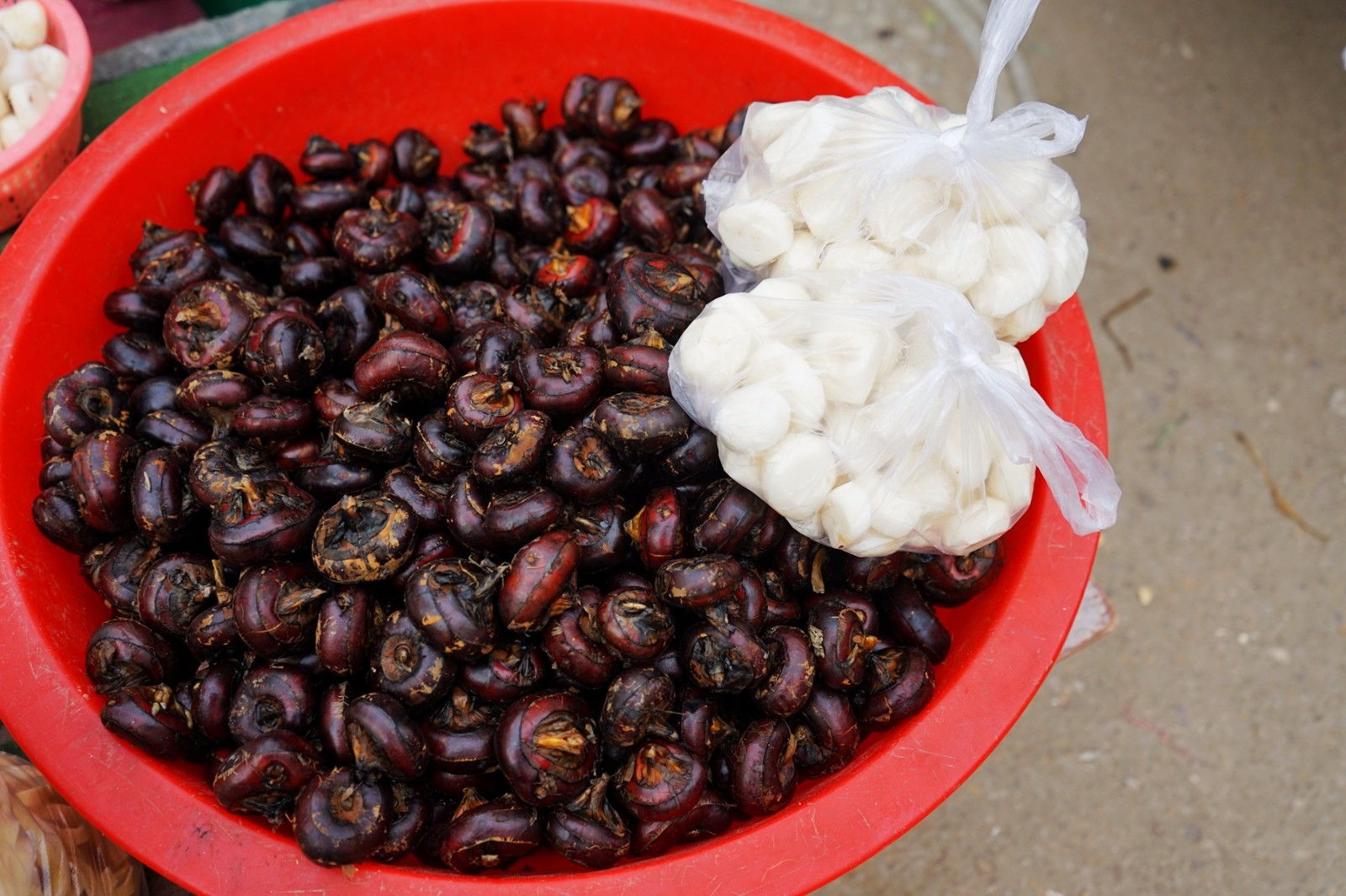 大姐路边卖泥里长的水果,皮黑肉白,削了皮每斤能卖十块钱