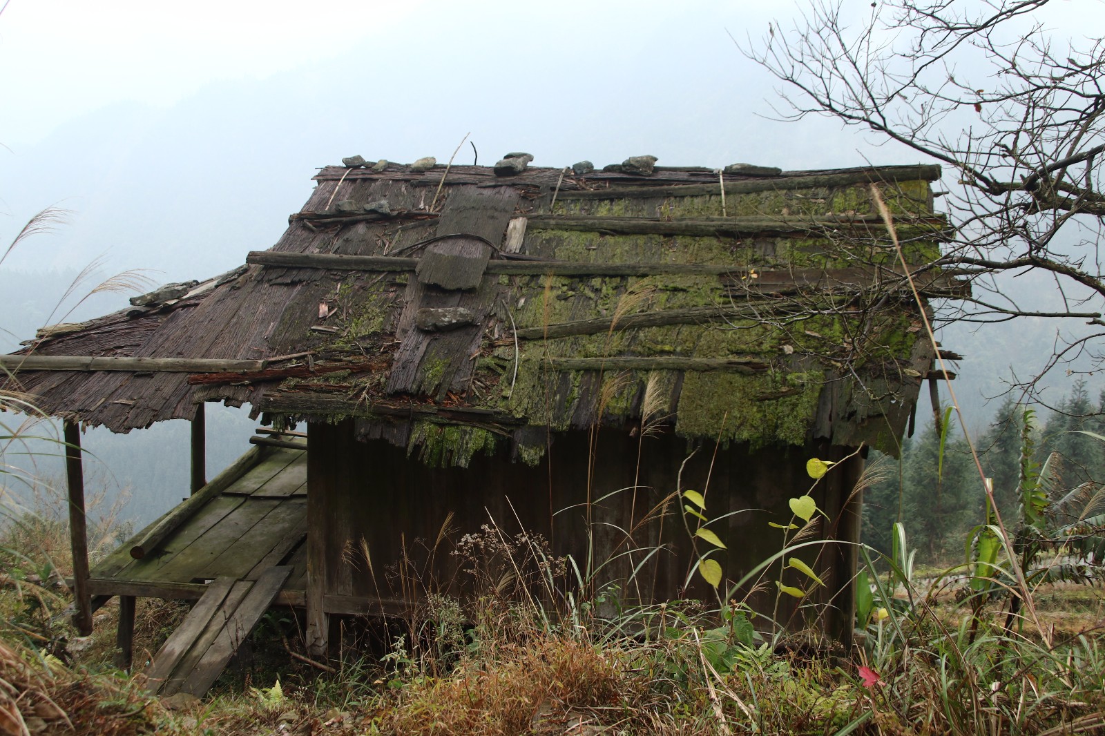 山区的孩子,无聊的时候是这样度过的!