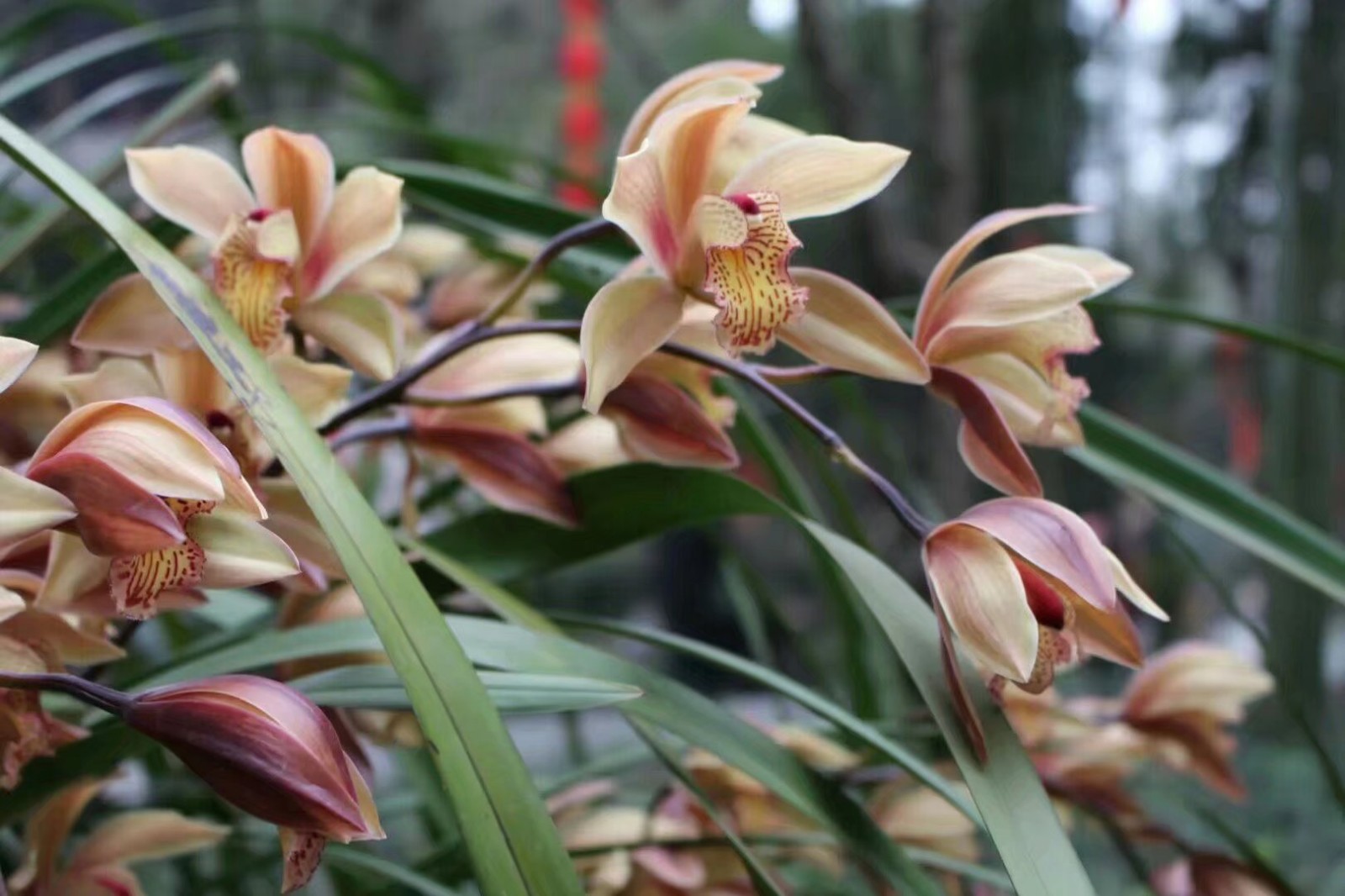 2018考研13大学科门类国家线预测