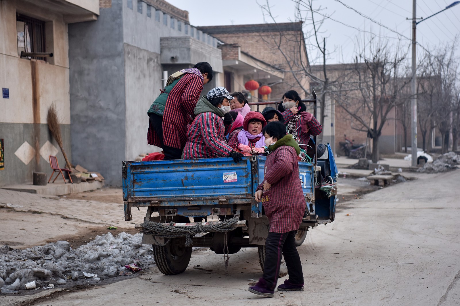 6000万斤滞销酥梨迎客商: 大妈包酥梨12小时赚70元