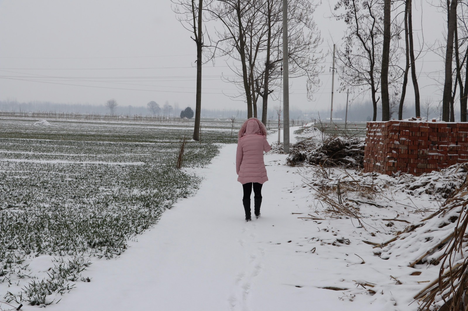 农村姑娘能吃苦不惧寒冷零下10度大雪中直播两小时