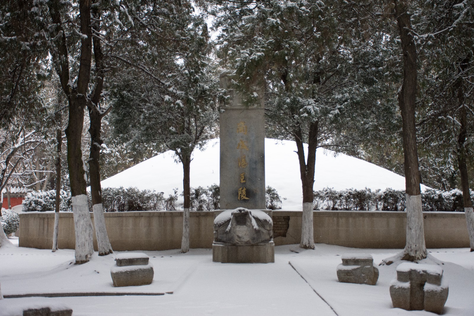 《我眼里的亳州》——汤王陵公园