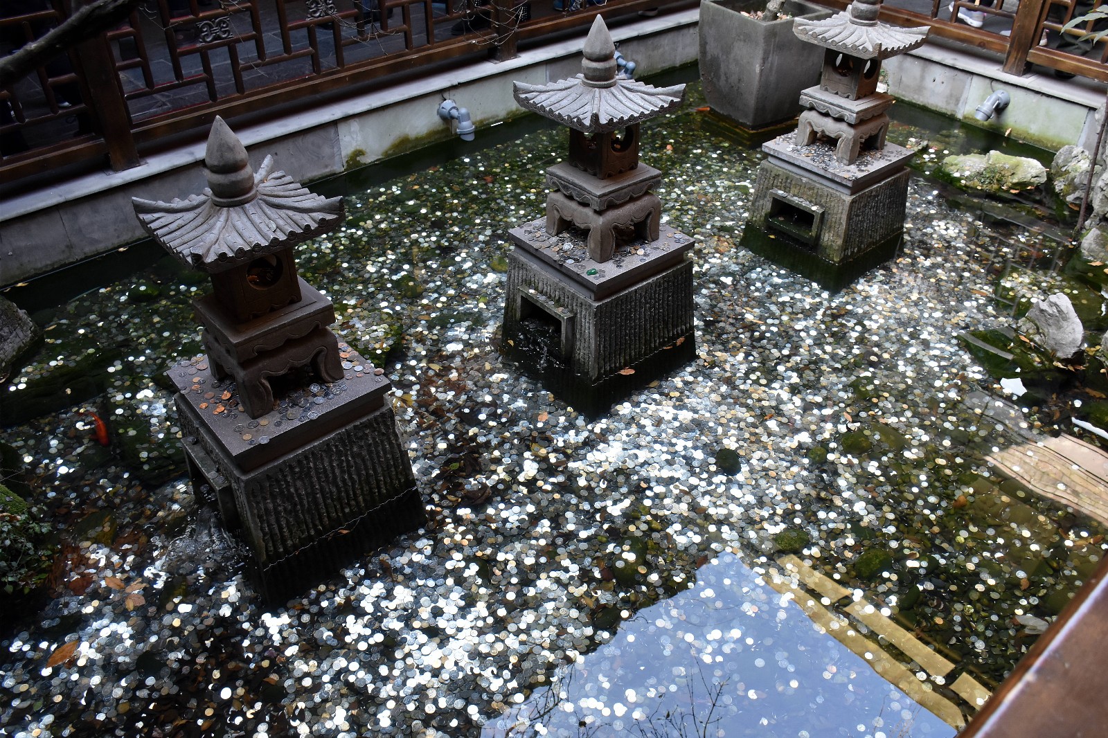 普通水池被当许愿池 近万枚硬币铺满池底