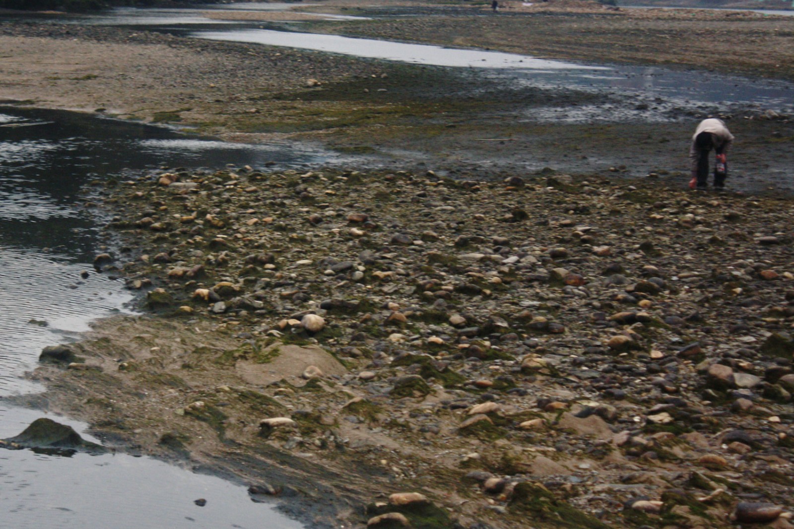 老家河流断流带来的不便,很多人不知道为什么会断流