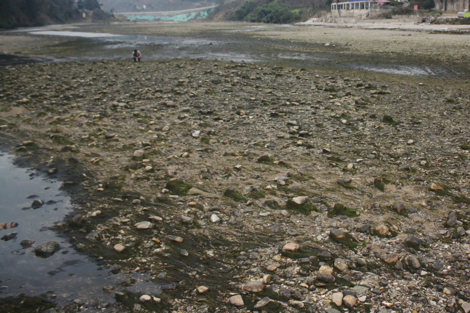 河流断流图片