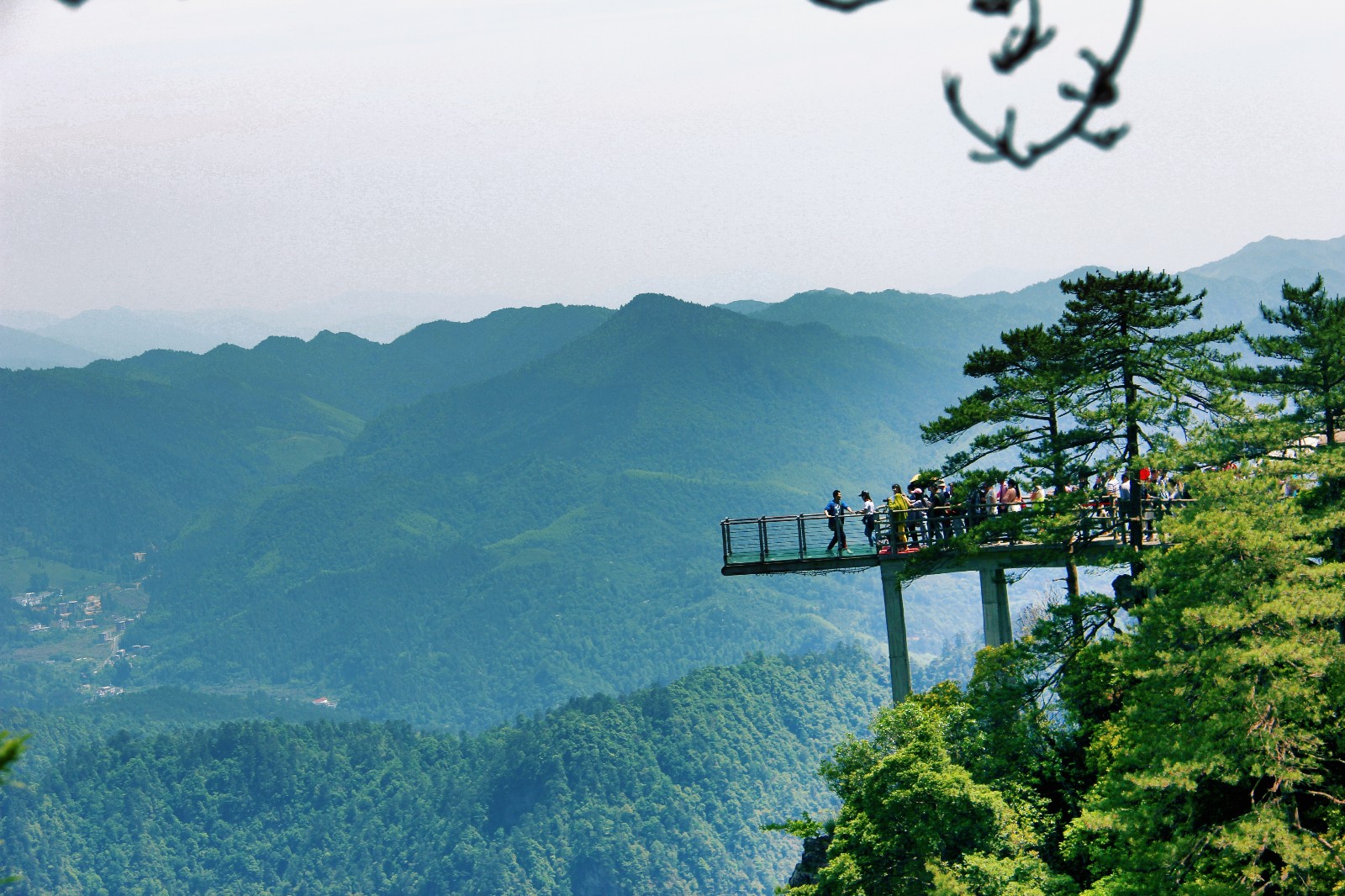 井冈山杜鹃山让你留下难忘的记忆,难忘的时刻