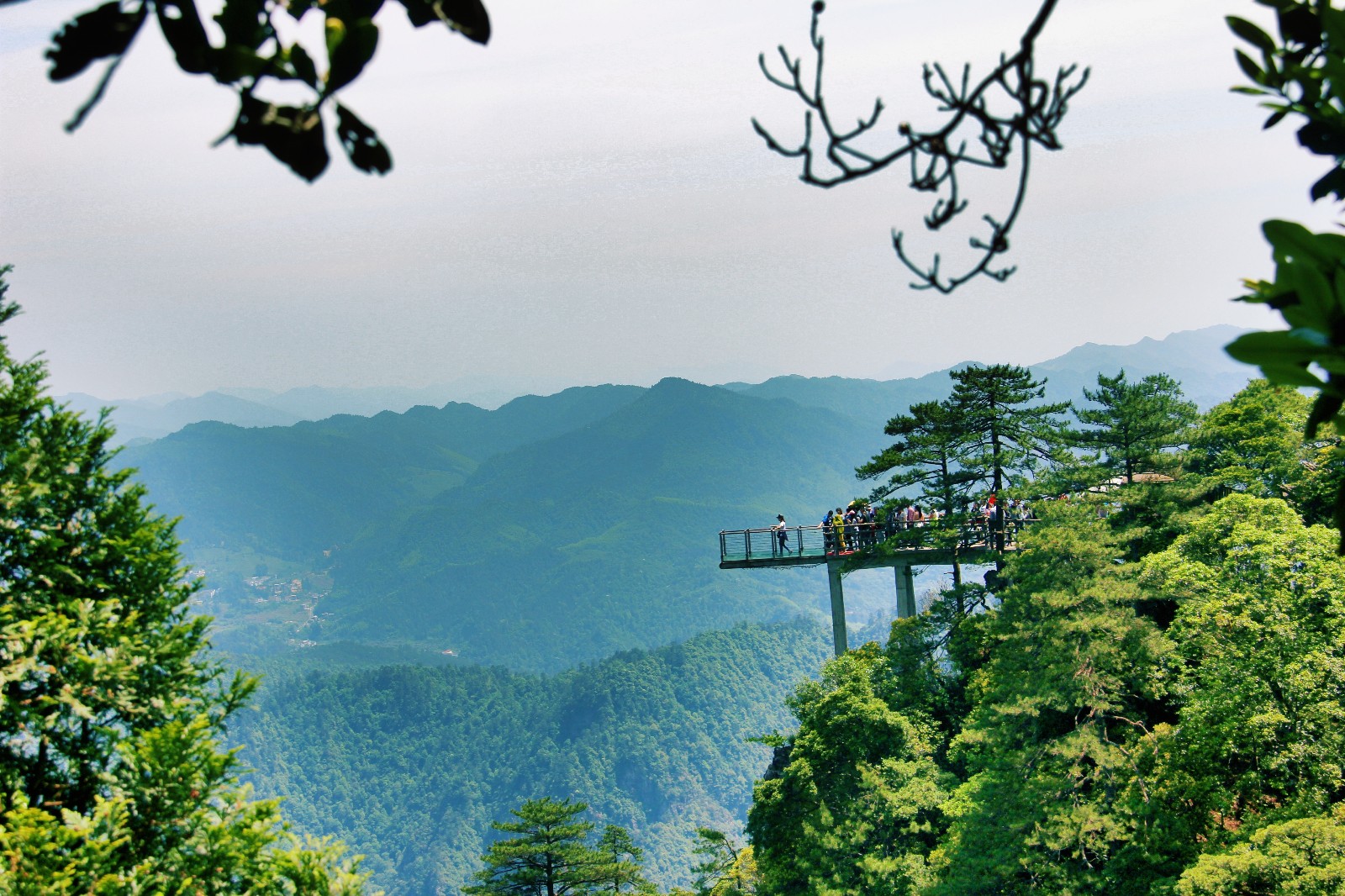 井冈山杜鹃山让你留下难忘的记忆,难忘的时刻