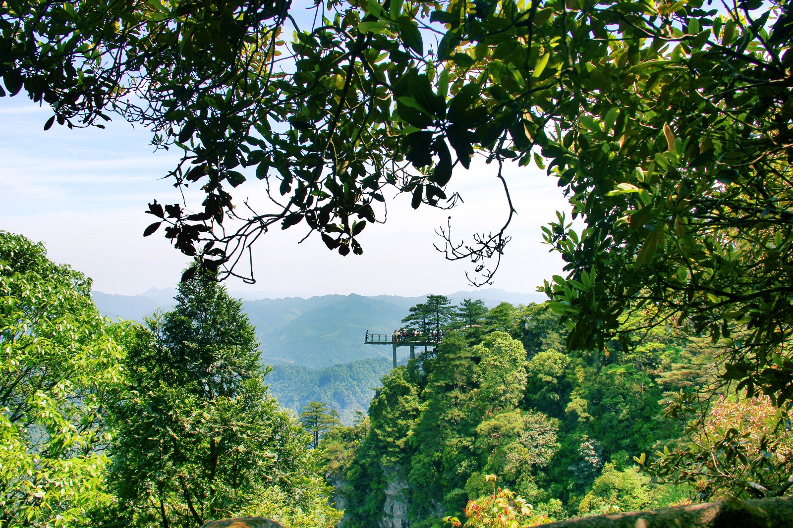 井冈山杜鹃山让你留下难忘的记忆,难忘的时刻