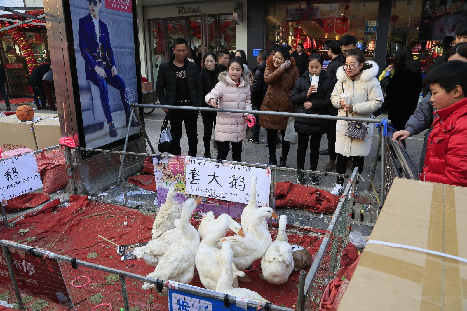 大年初一庙会套大鹅10元6个圈20元16个套到鹅不要可以换大枪