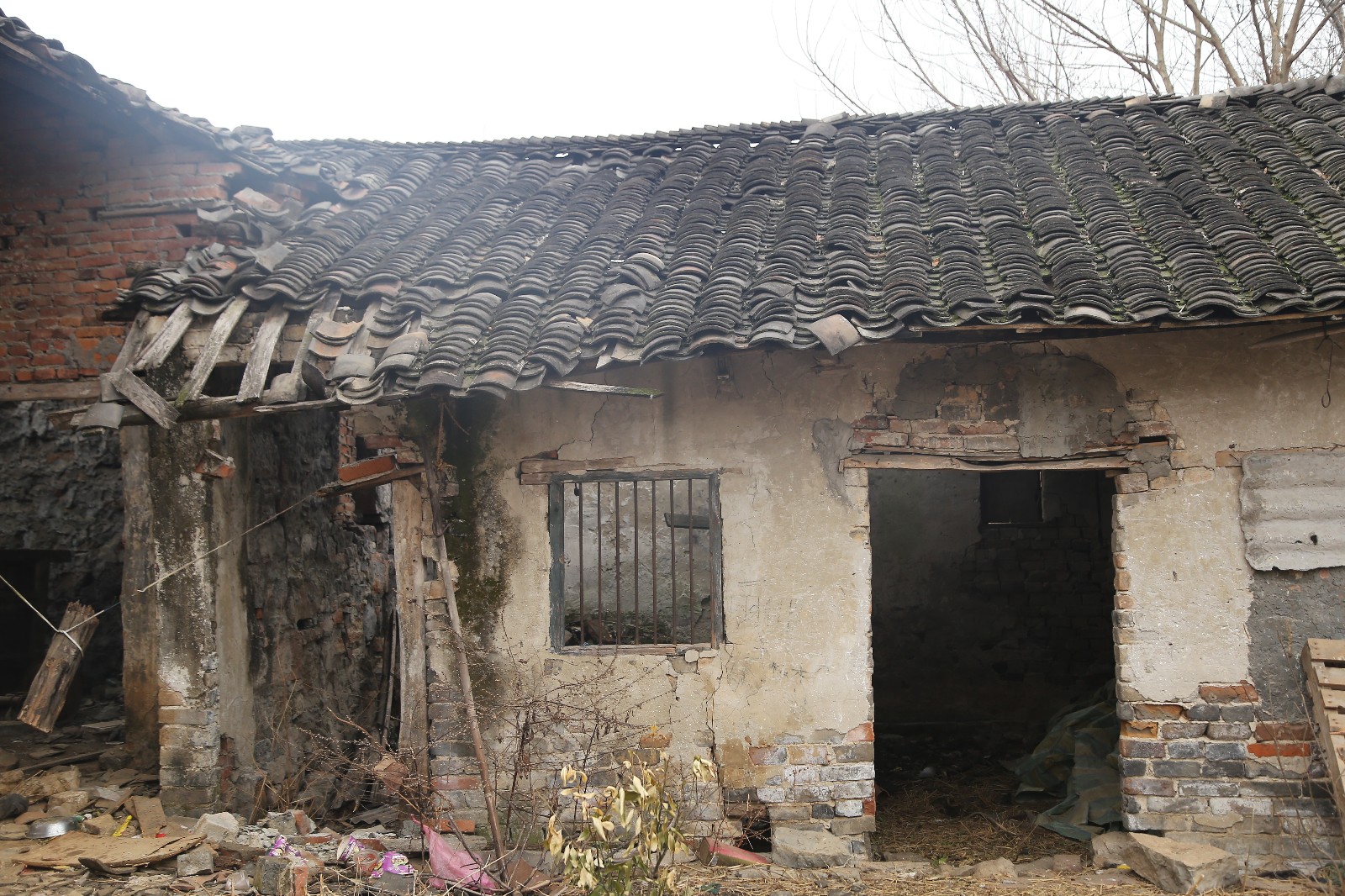 村民不愿离开泉水池一辈子住在破旧的房子里 陪伴他的只有这条狗