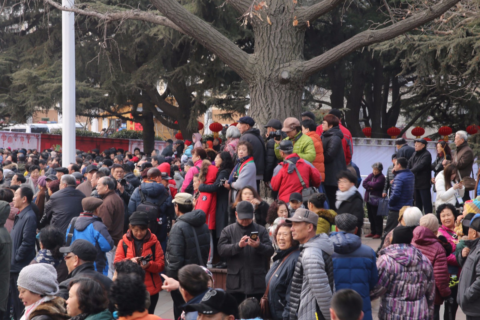 图中是现场的人群照片,在活动现场的大树下也站满了人.