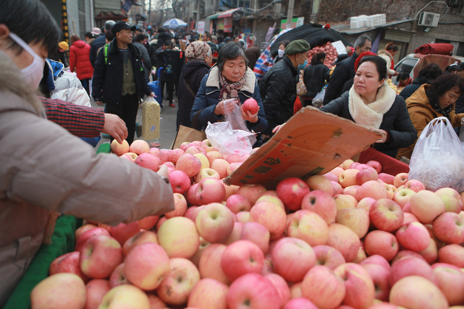 一家三口分工卖苹果 日售3000斤进帐7000元