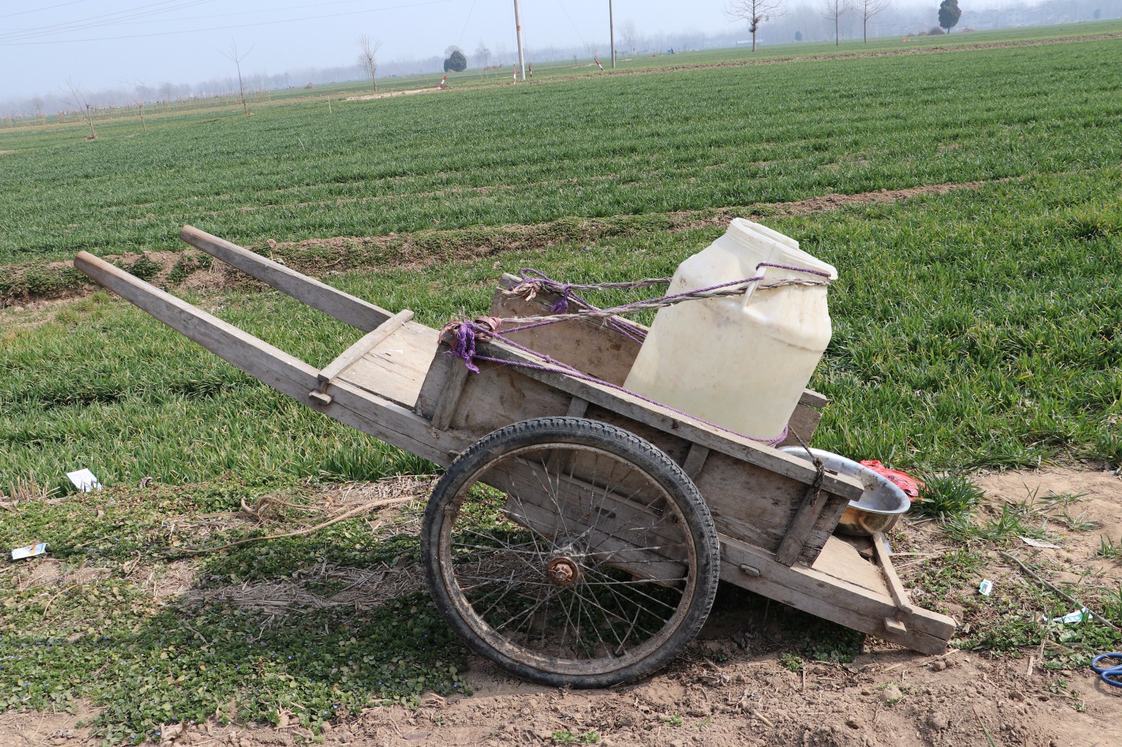 致敬农民!60岁大叔背40斤药桶为小麦打除草剂,连续劳作5小时