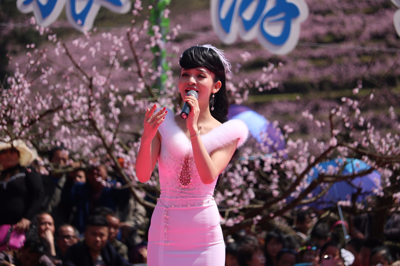 著名歌手云朵儿在岑巩县客楼桃花节献唱,身材好好