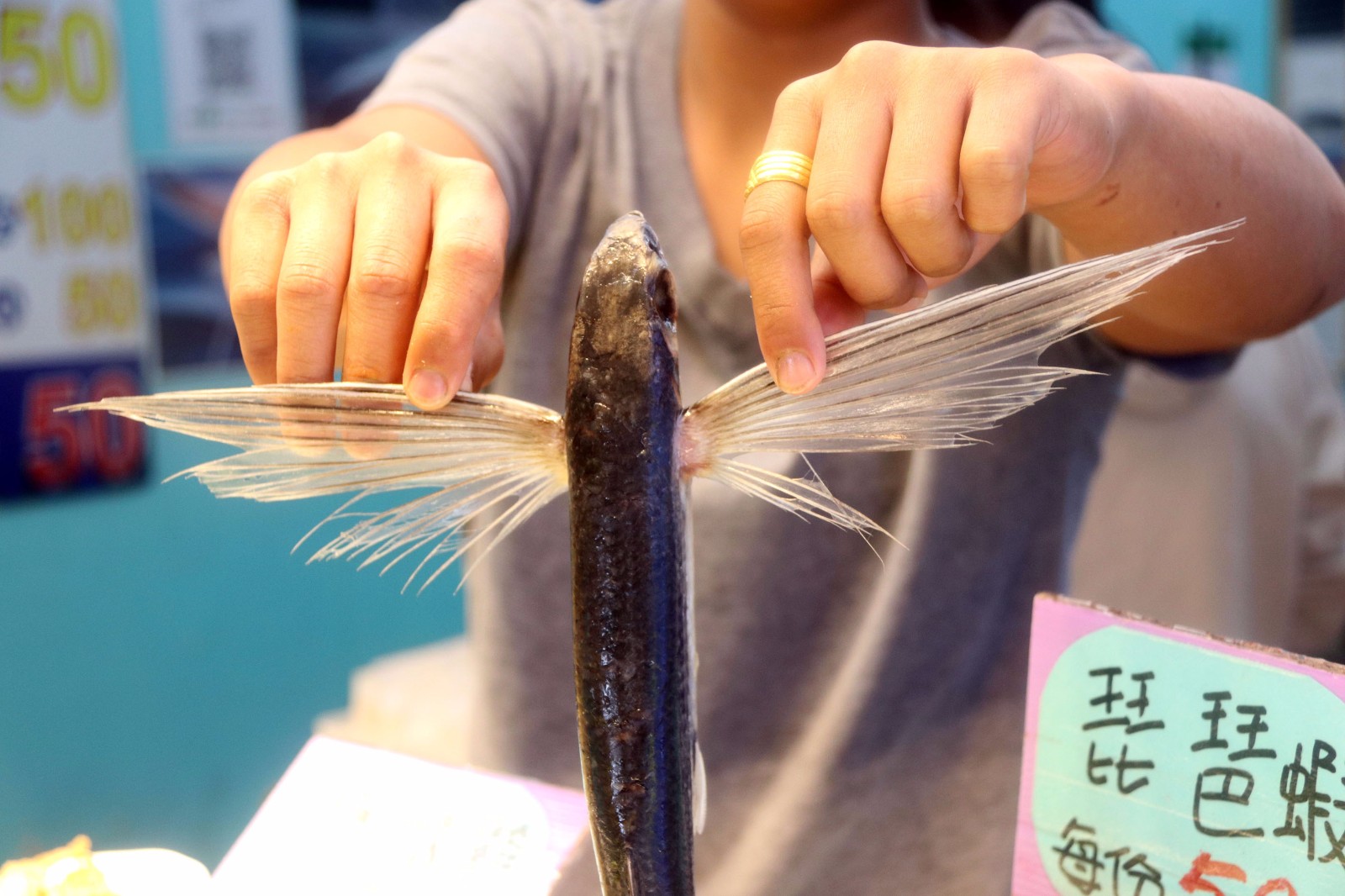 长翅膀的飞鱼,你们吃过吗?