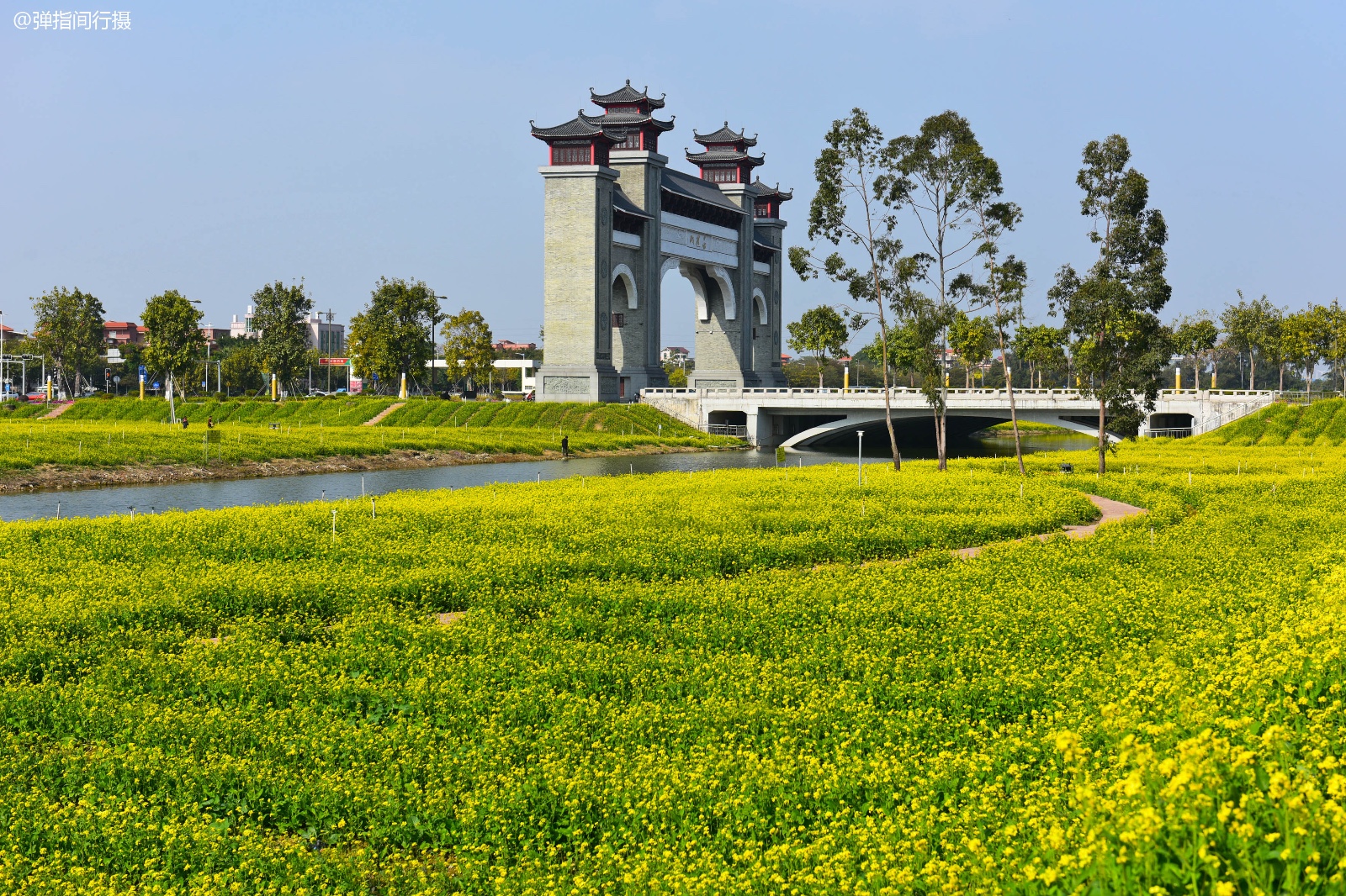 突发!元宵刚过,广东西樵山5a景区周边这场山火刷遍朋友圈