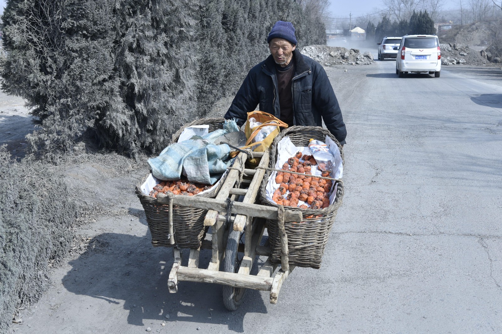 老人凌晨下山卖柿子,推独轮车走了100多里路,夜宿小树林_新浪看点
