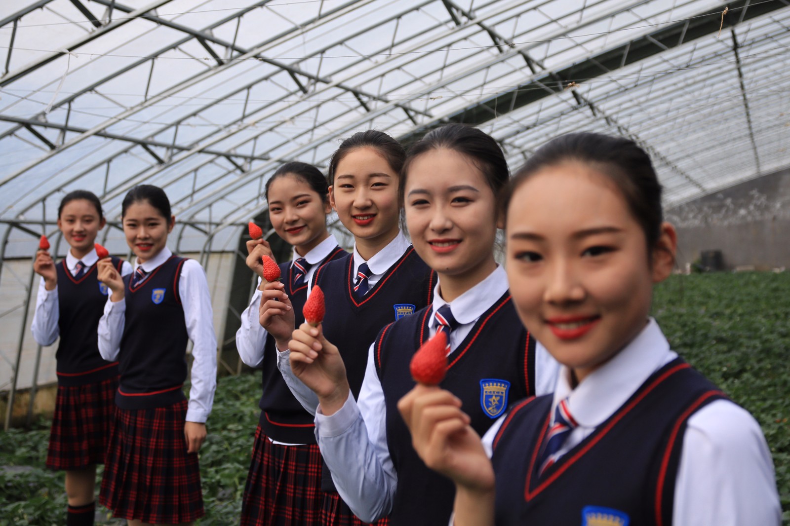 女生节，这所学校的“膝裙”校服走红，网友感叹“又是别人家的”|校服|学校|女学生|网友|草莓_新浪新闻