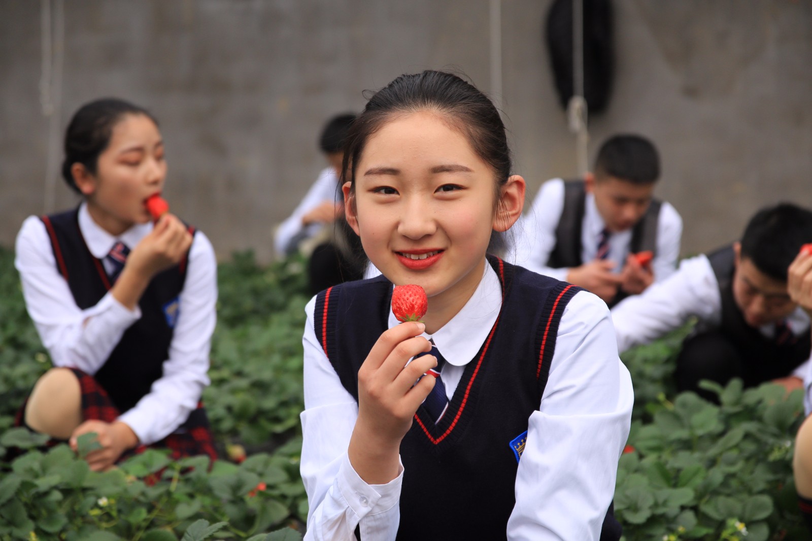 女生节，这所学校的“膝裙”校服走红，网友感叹“又是别人家的”|校服|学校|女学生|网友|草莓_新浪新闻