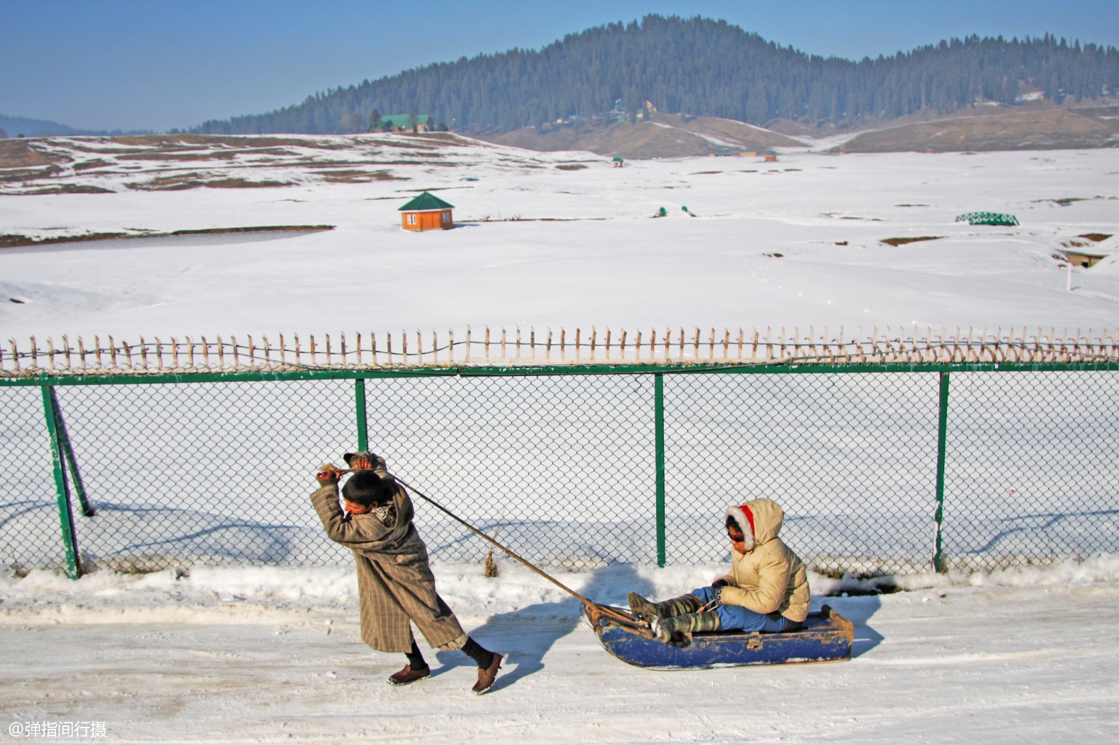 印度有多奇葩?在古尔默吉雪山上居然用未成年人人力拉雪橇敛财