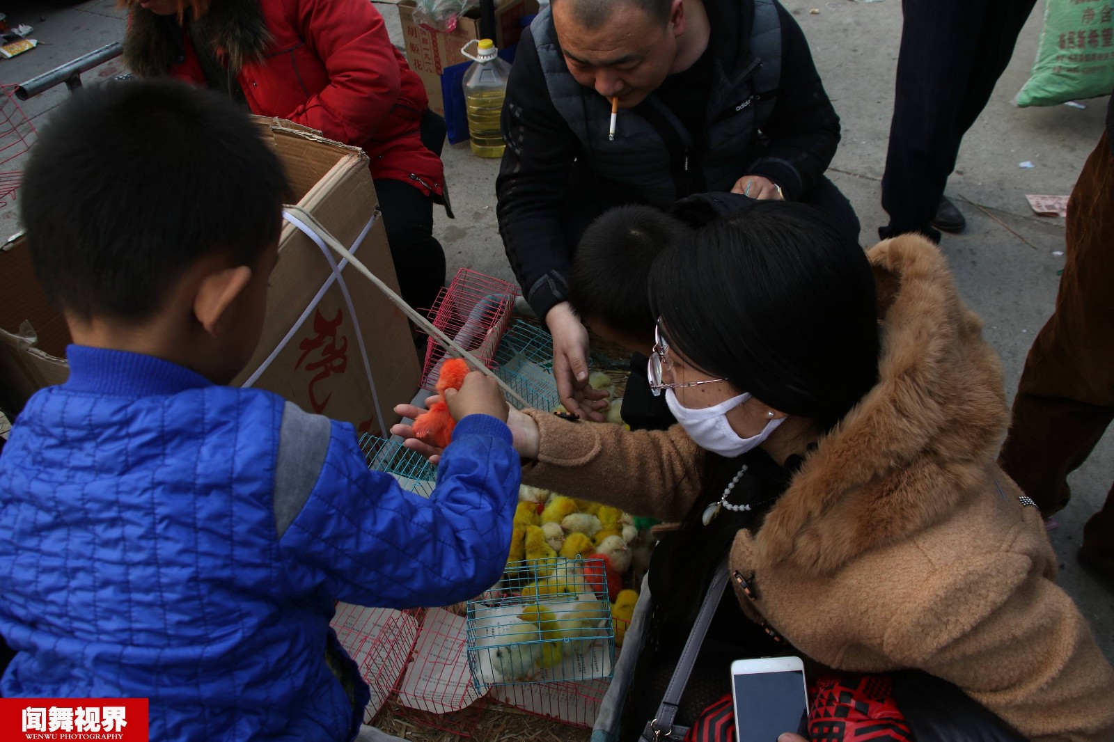 小贩当街叫卖染色小鸡,生意火爆日赚上千元