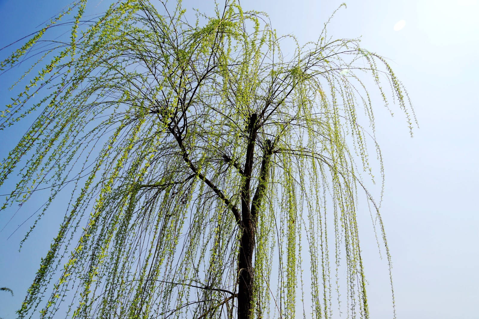 新浪看点|图集详情