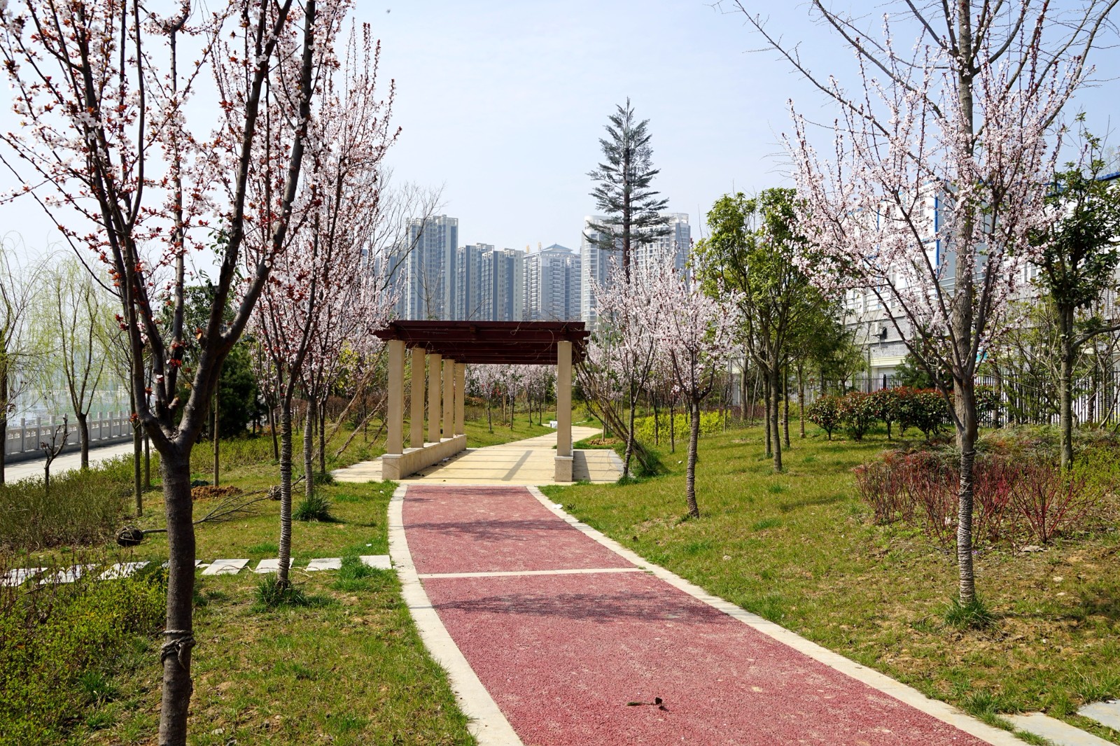 滨江长廊人迹踪绝