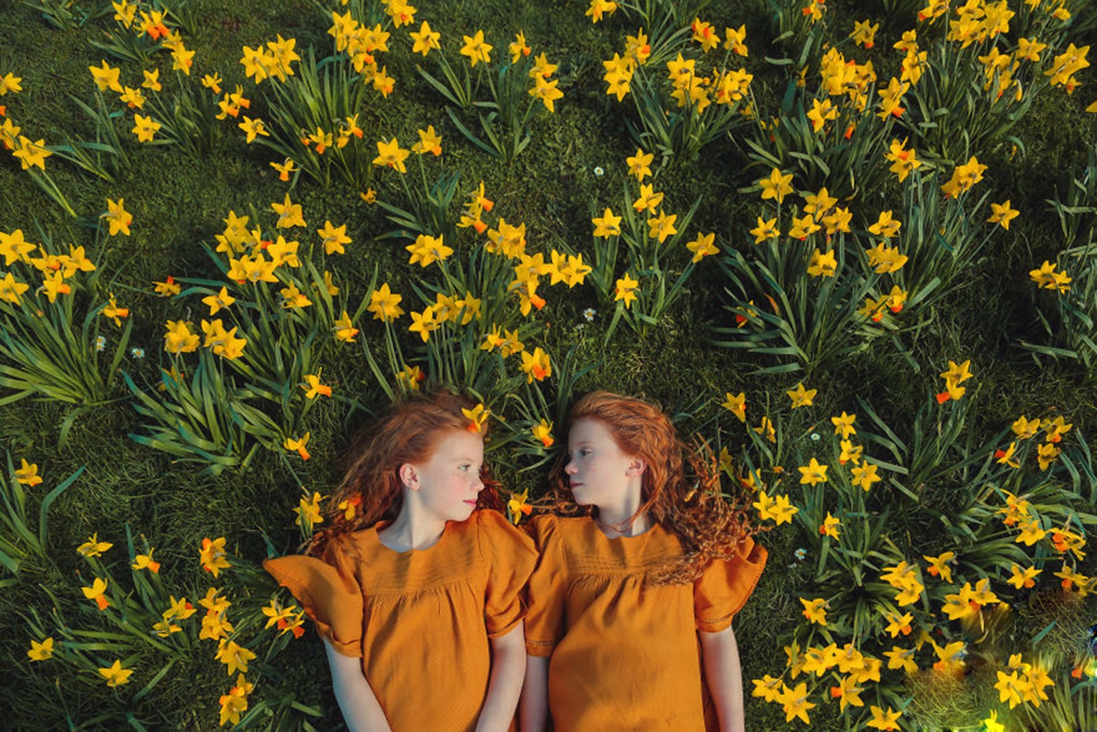 一组超美的双胞胎照片看完你也想生个双胞胎了