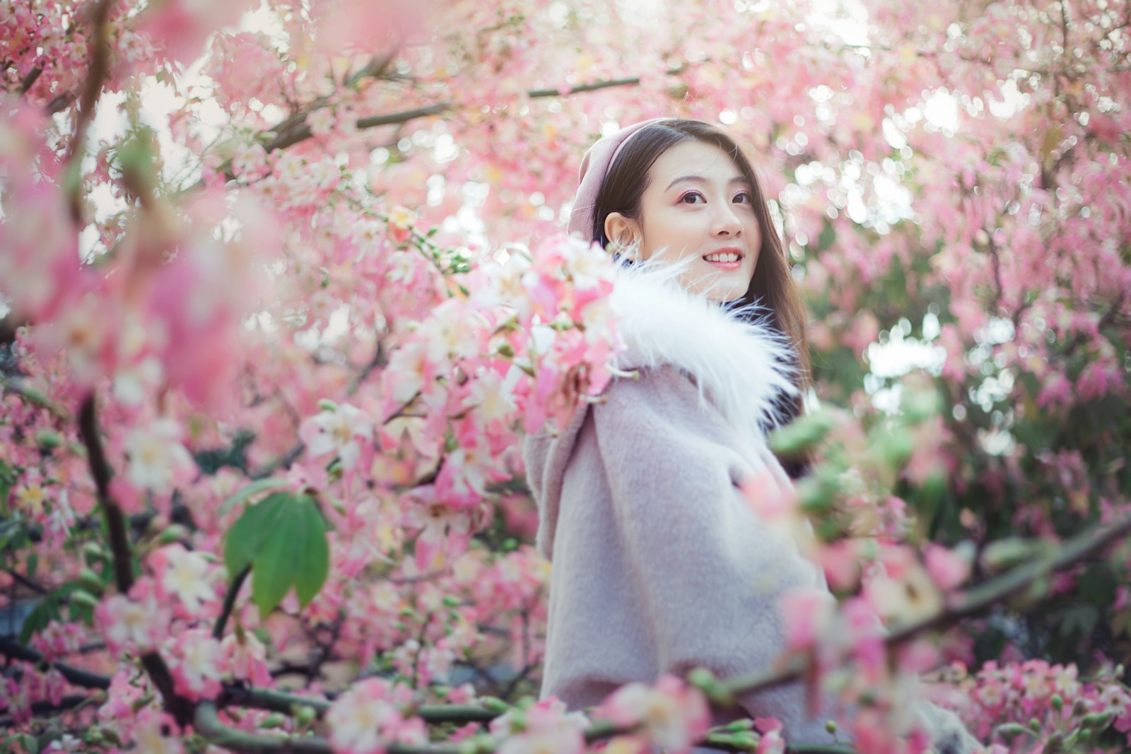 你像一片轻柔的云在我眼前飘来飘去,你清丽秀雅的脸上荡漾着