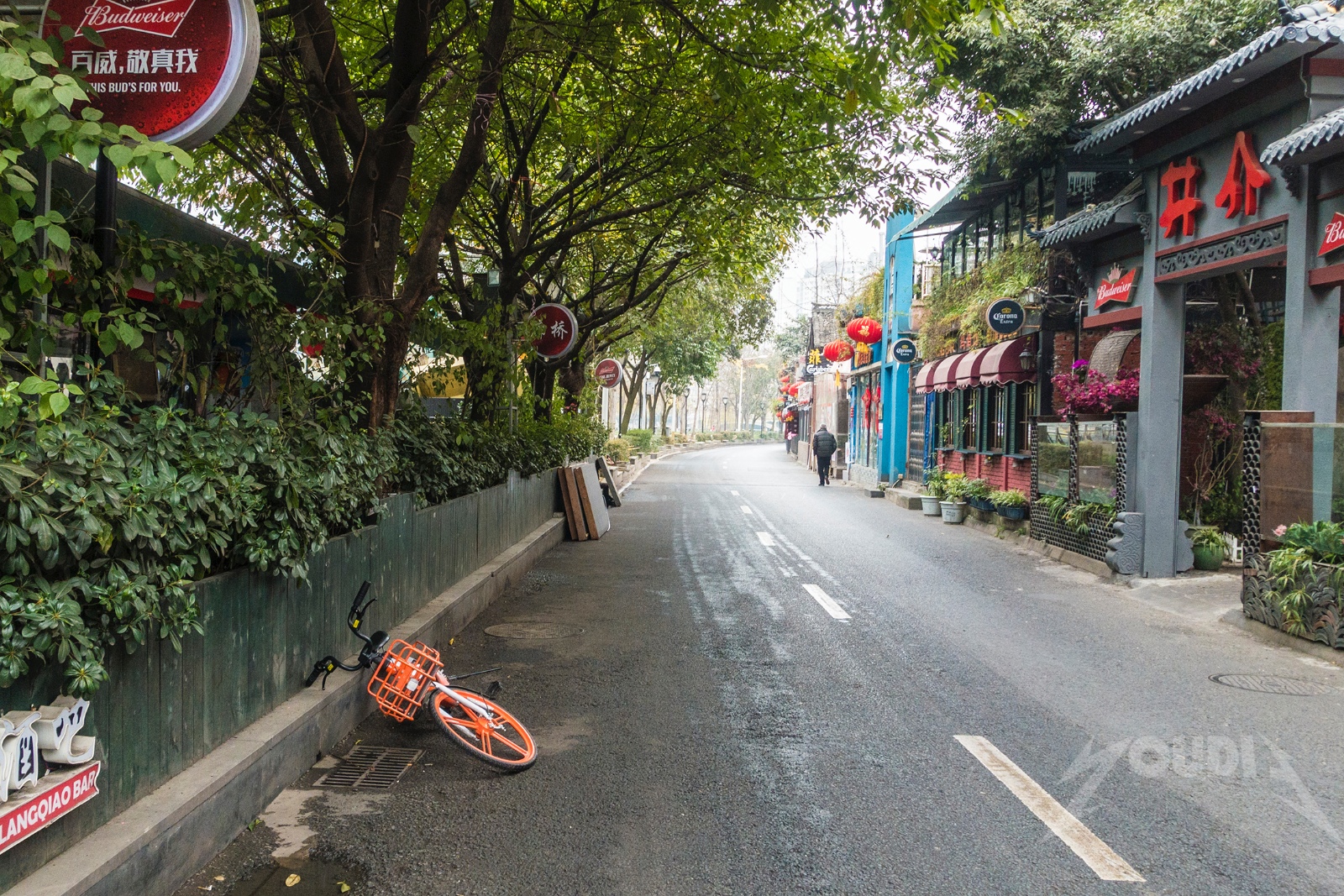 成都九眼橋酒吧一條街 共享單車被惡意丟棄綠化帶