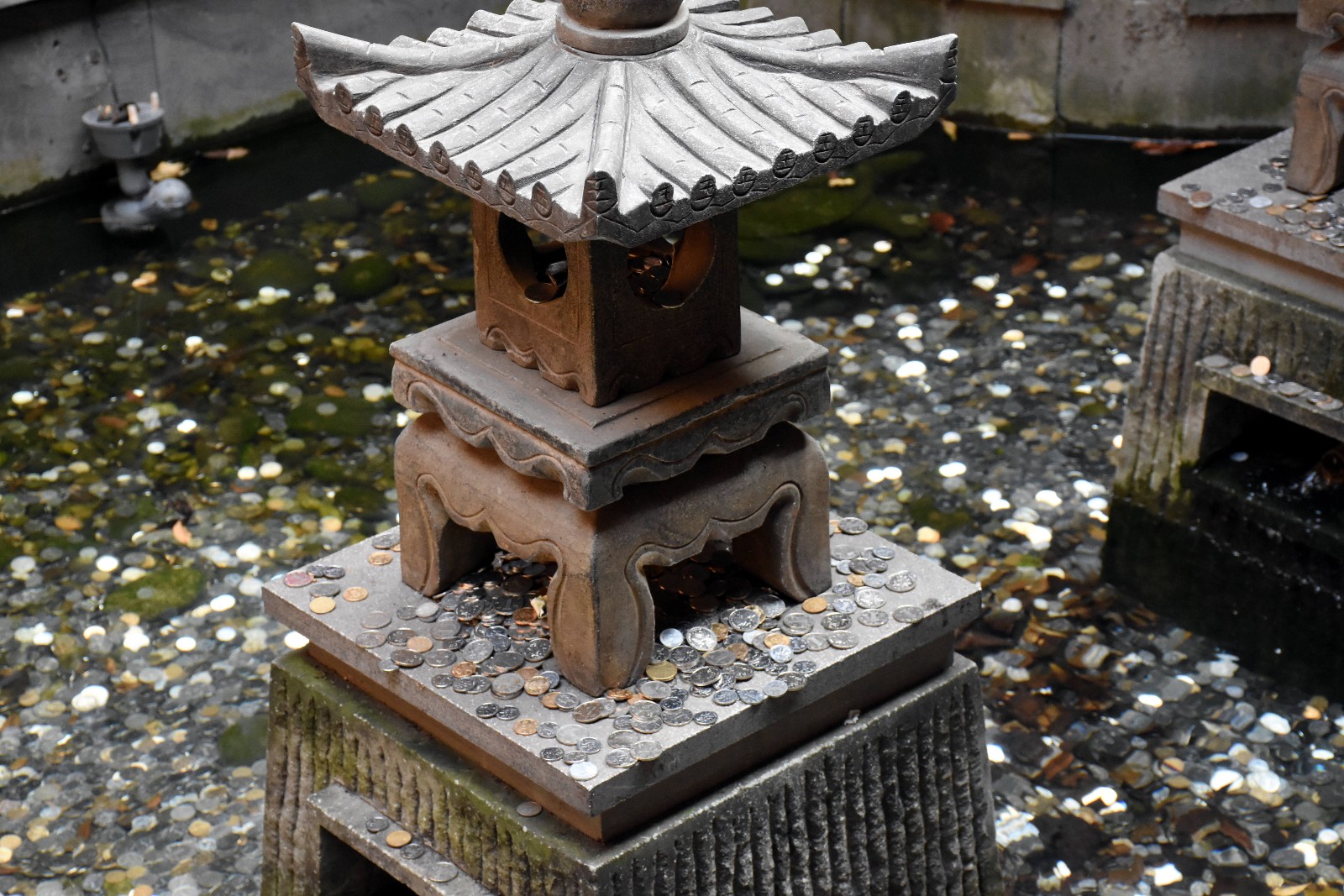 普通水池被当许愿池 近万枚硬币铺满池底