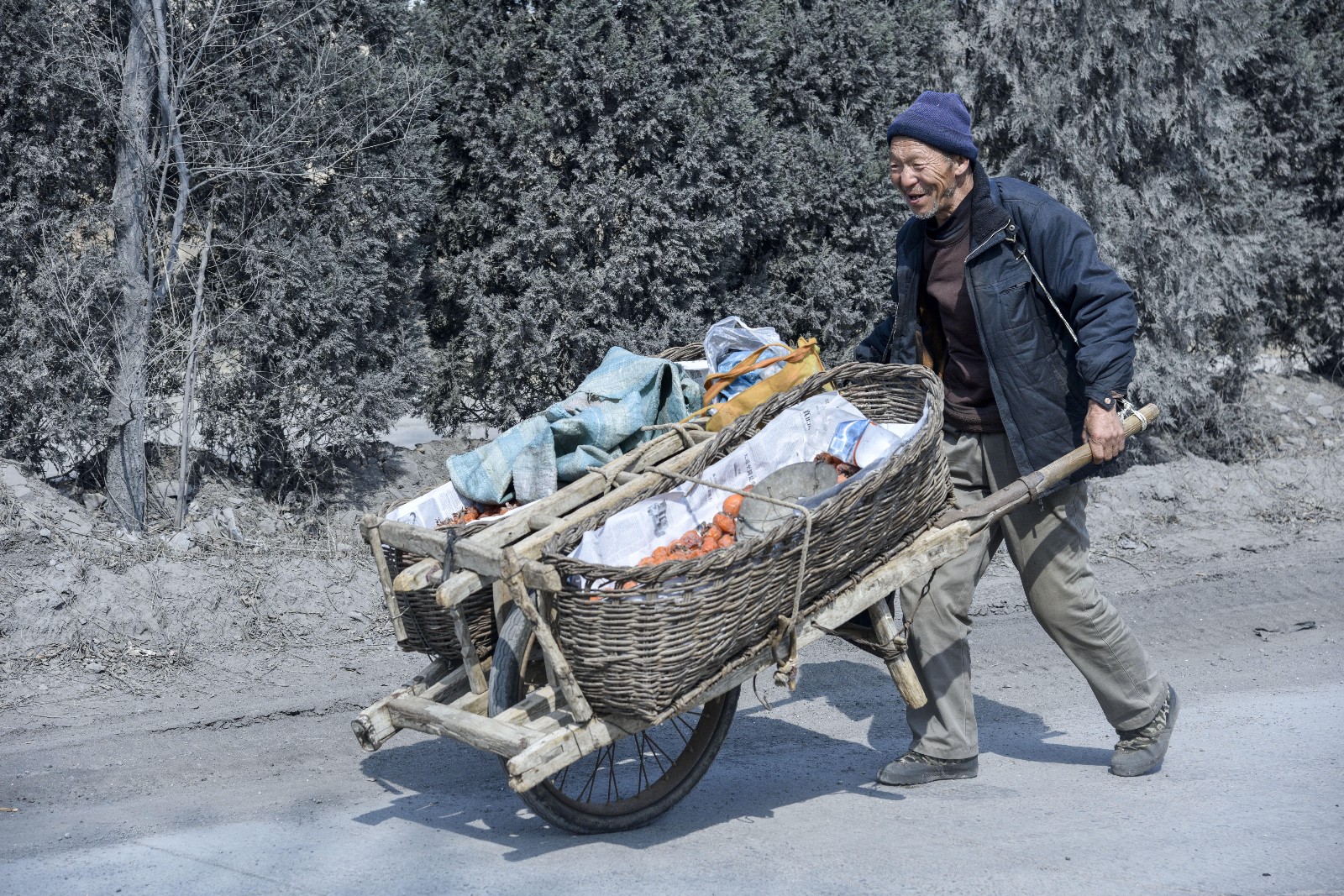 老人凌晨下山卖柿子,推独轮车走了100多里路,夜宿小树林_新浪看点