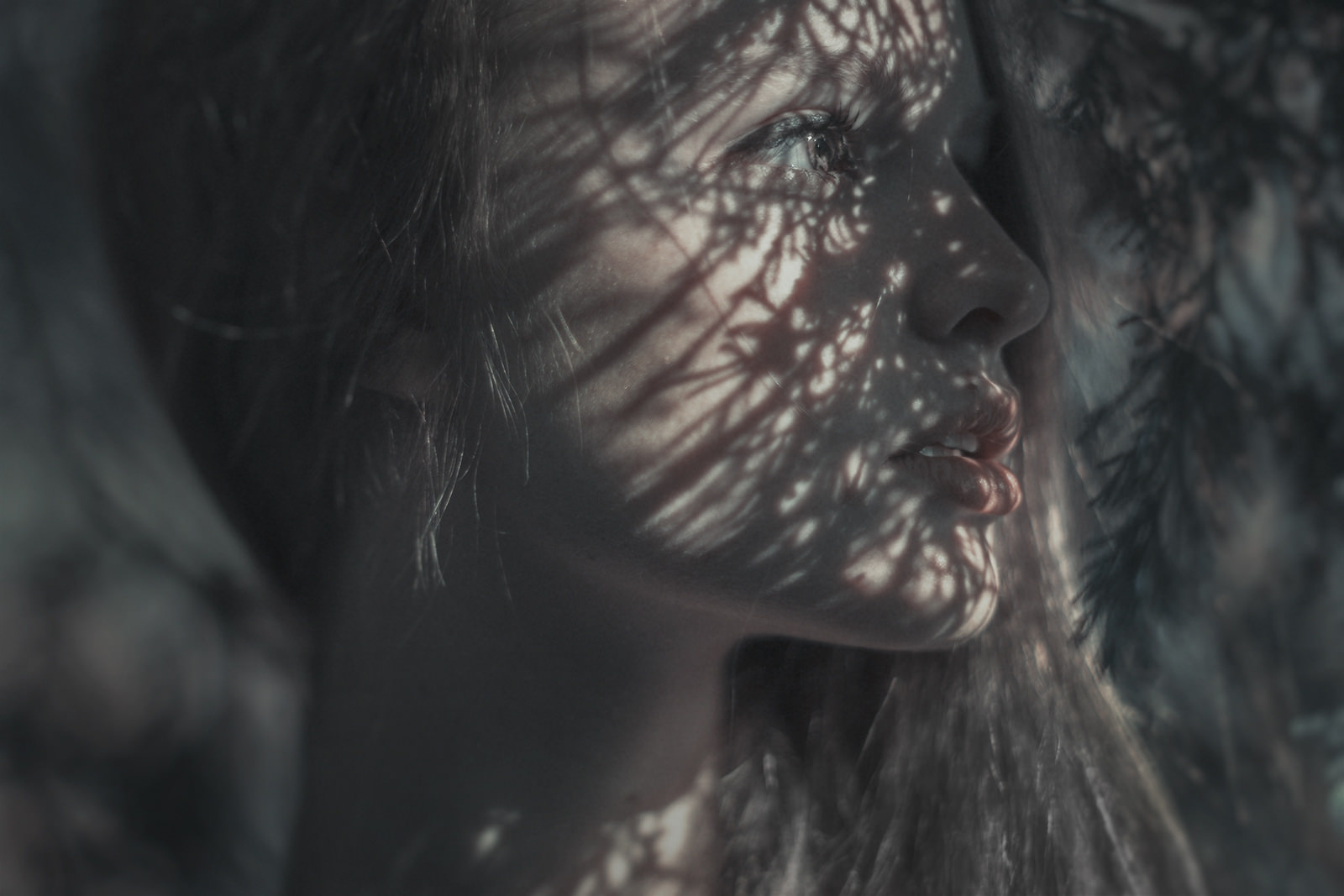 美丽光影inesrehberger人像摄影作品