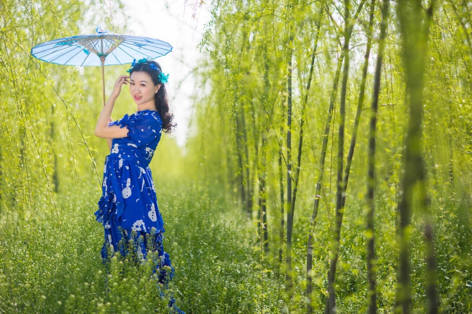一帘幽梦