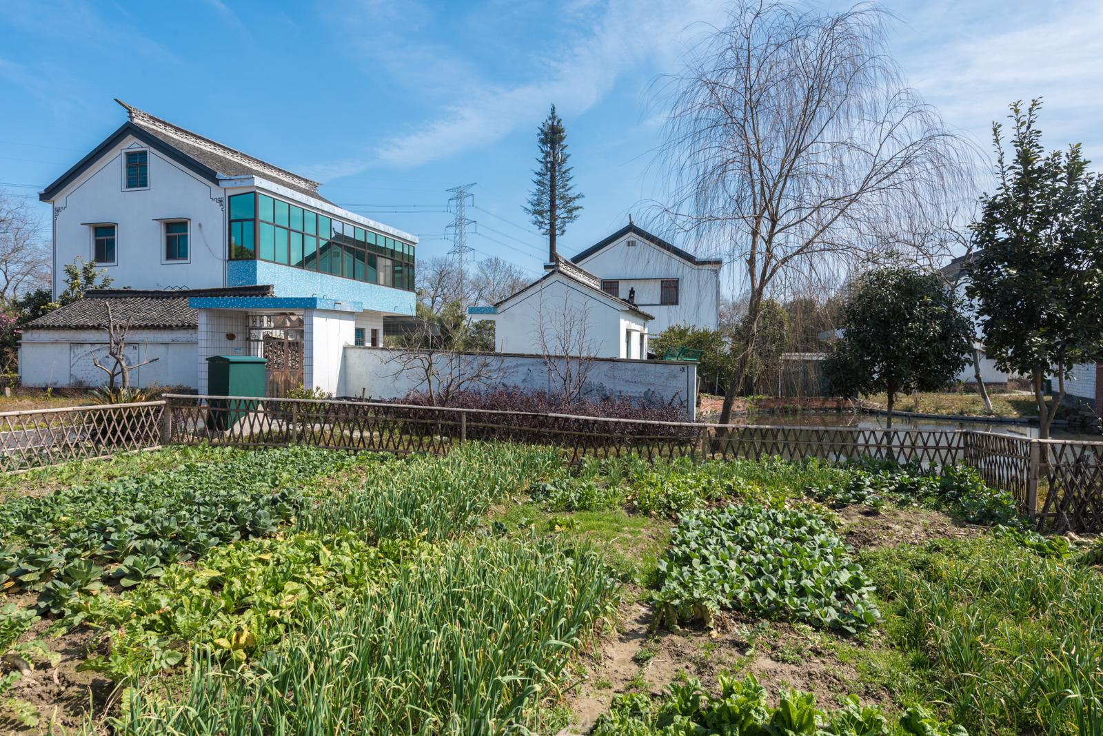 浙江农村到底有多富?来钱塘江边这个小村看看就知道了