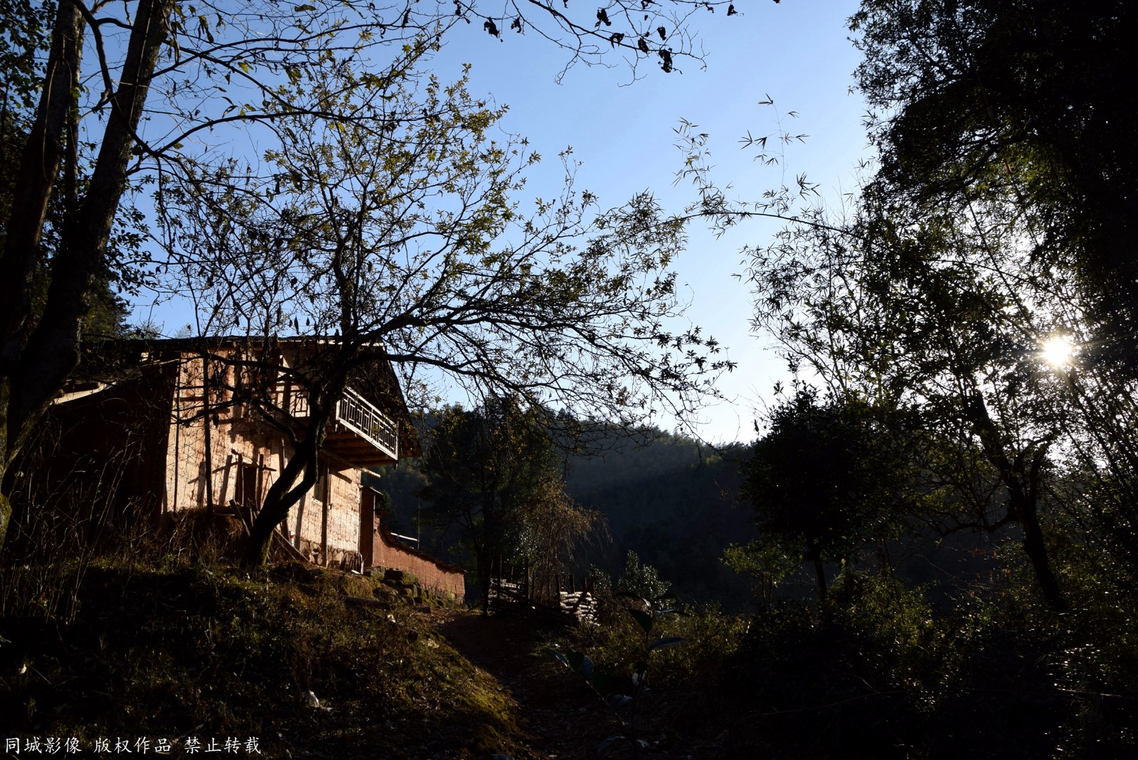 8旬夫妻隐居深山与狗作伴称很想见孙子