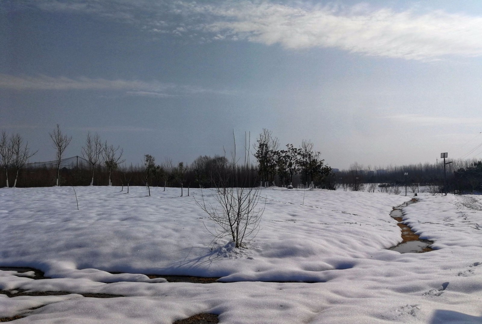 带你走进合肥大蜀山森林公园,这雪景让你不舍得走