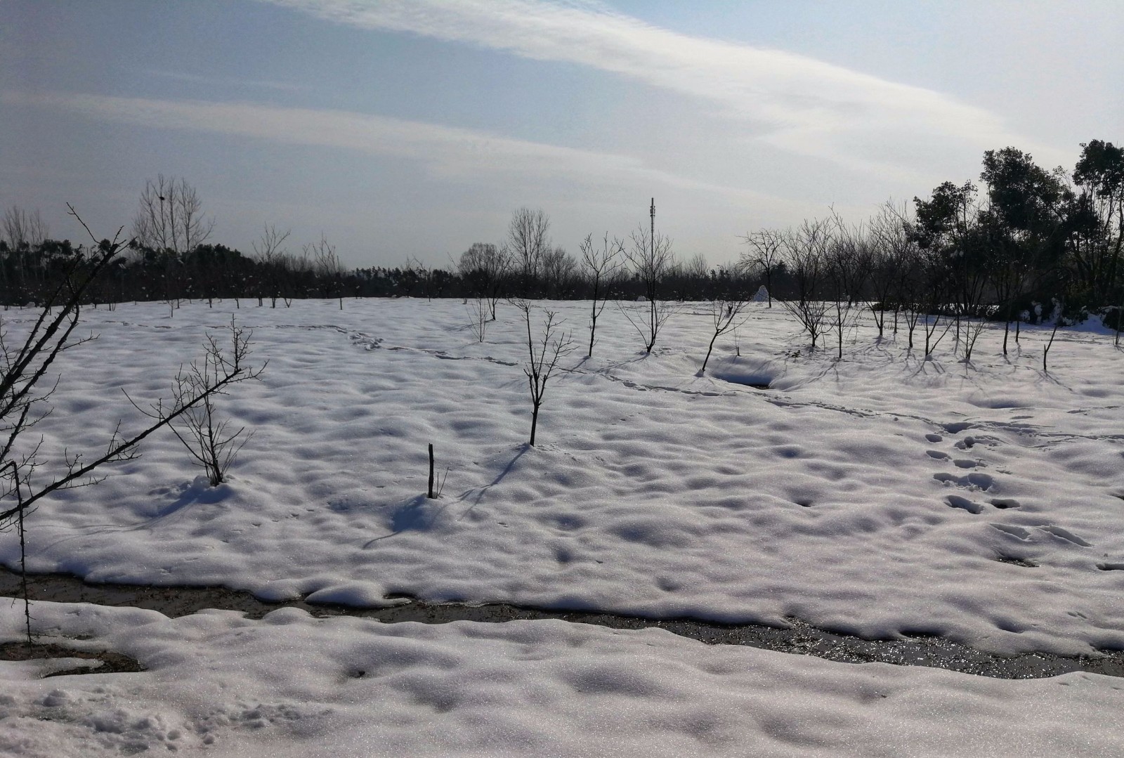 带你走进合肥大蜀山森林公园,这雪景让你不舍得走
