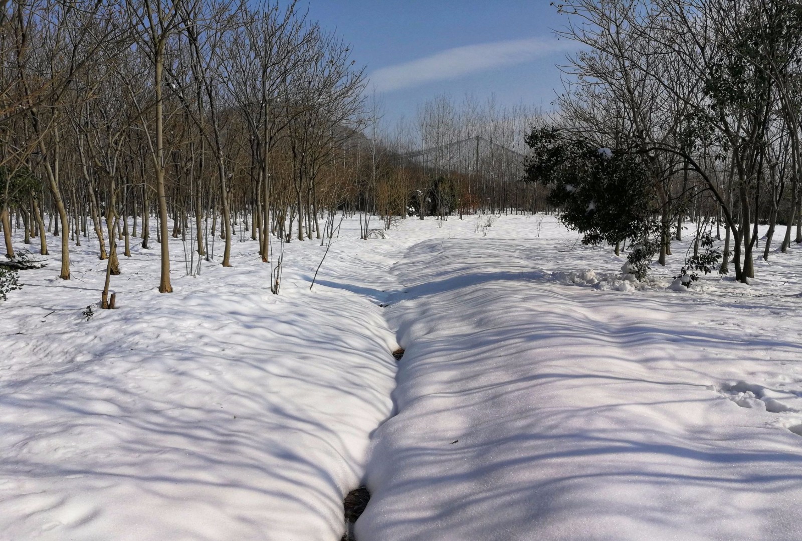 帶你走進合肥大蜀山森林公園,這雪景讓你不捨得走