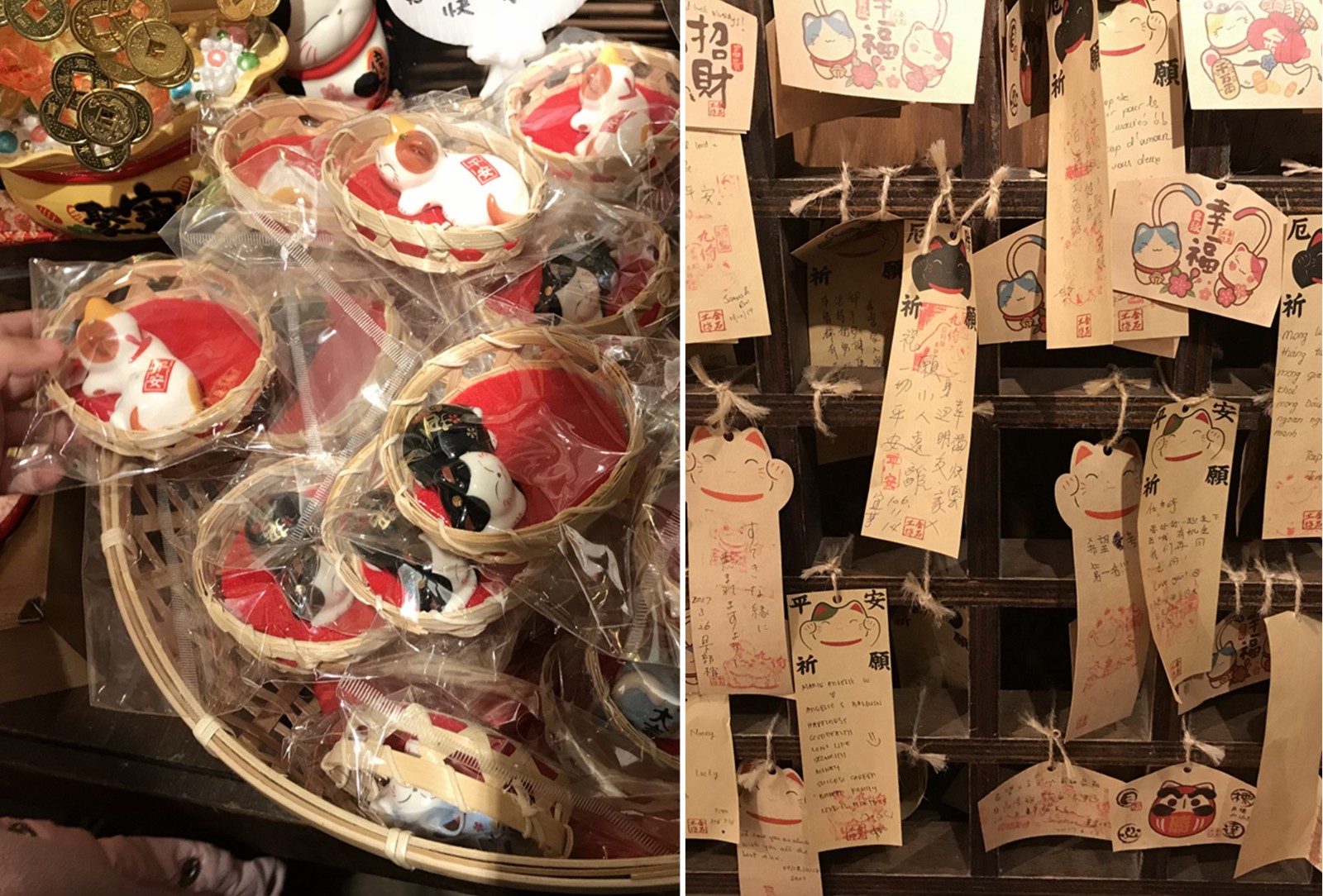 这家小店拥有上千只招财猫，由黑色小猫店长“看守”收银台